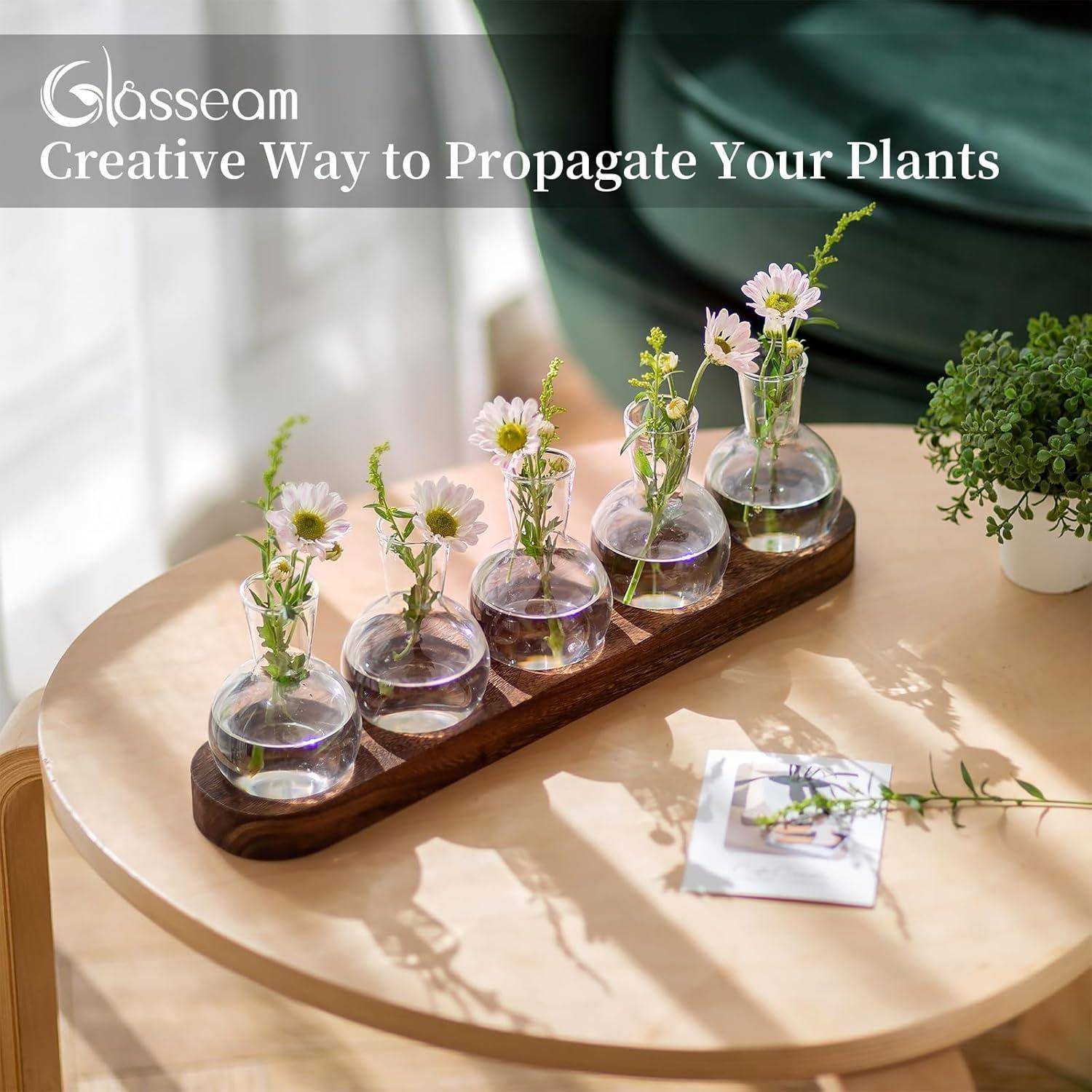 Pflanzen Terrarium Glasvasen inkl. Holztablett Hydrokultur Deko Set