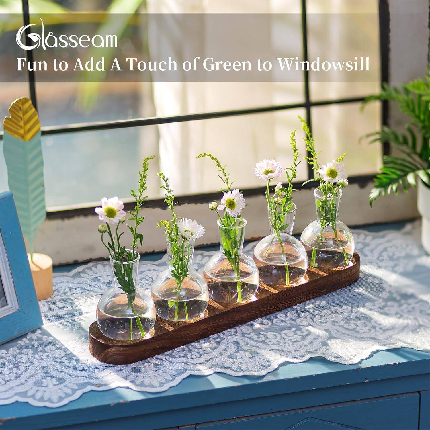 Pflanzen Terrarium Glasvasen inkl. Holztablett Hydrokultur Deko Set