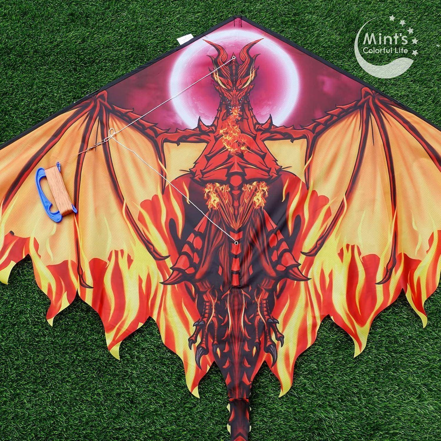 Drachen Drache für Kinder Erwachsene, einleiner Drachenflieger