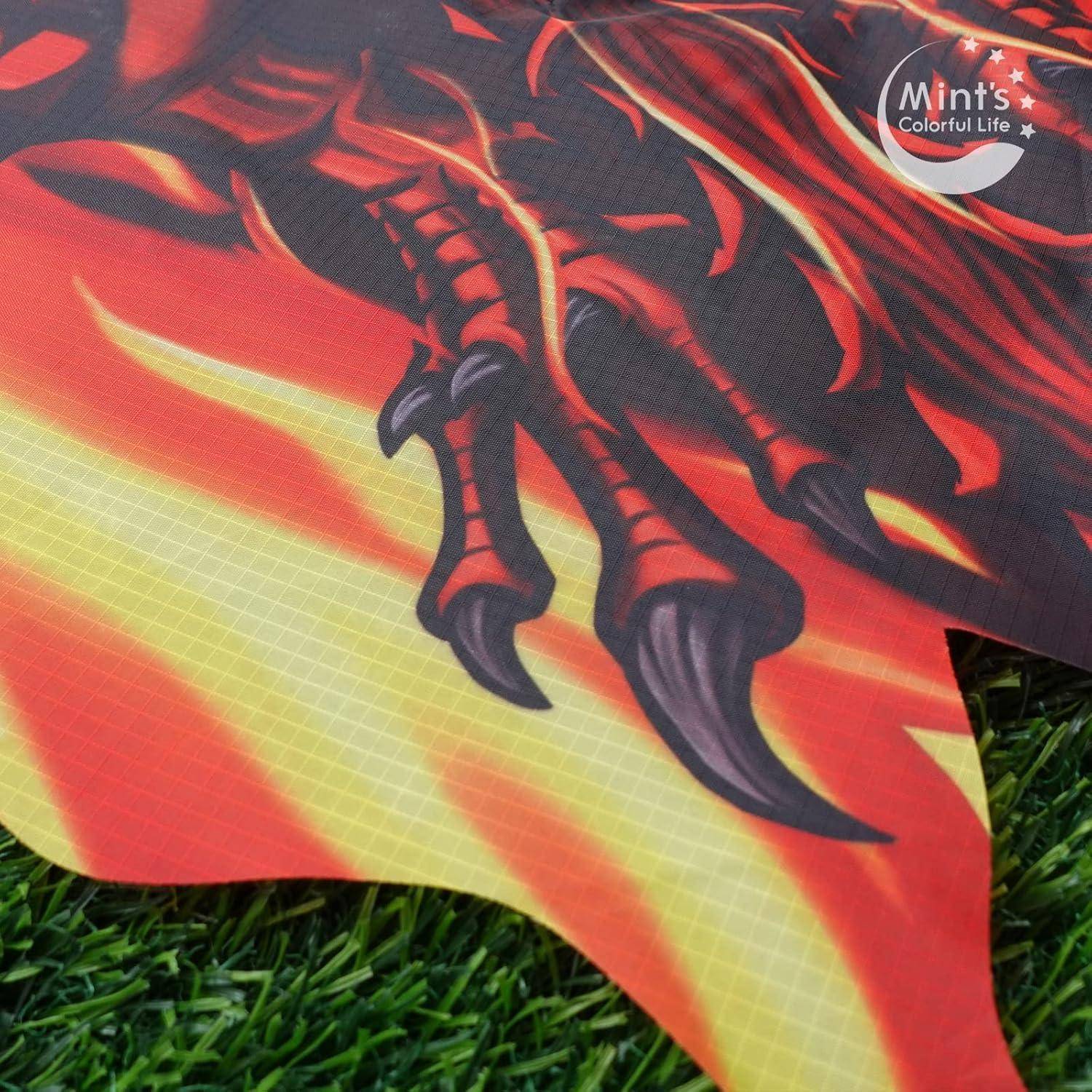 Drachen Drache für Kinder Erwachsene, einleiner Drachenflieger