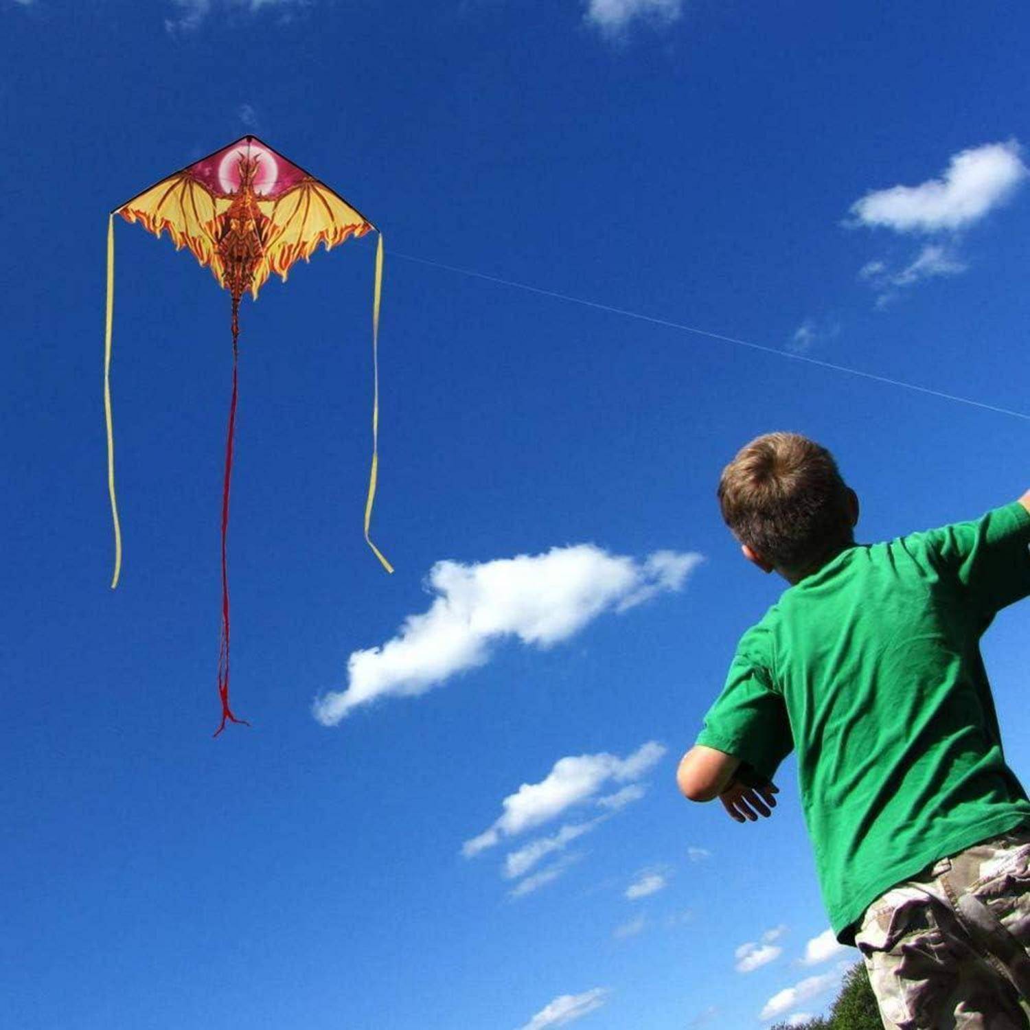 Drachen Drache für Kinder Erwachsene, einleiner Drachenflieger