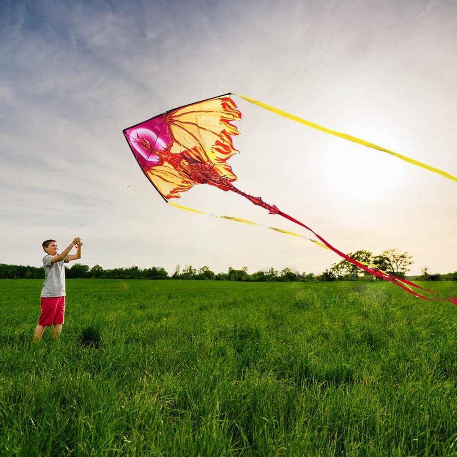 Drachen Drache für Kinder Erwachsene, einleiner Drachenflieger