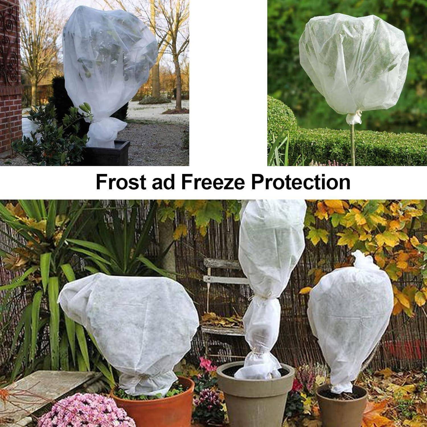 Pflanzen, die mit weißen Tüchern zum Frostschutz bedeckt sind, mit der Beschriftung ‚Frostschutz', umgeben von Herbstlaub.
