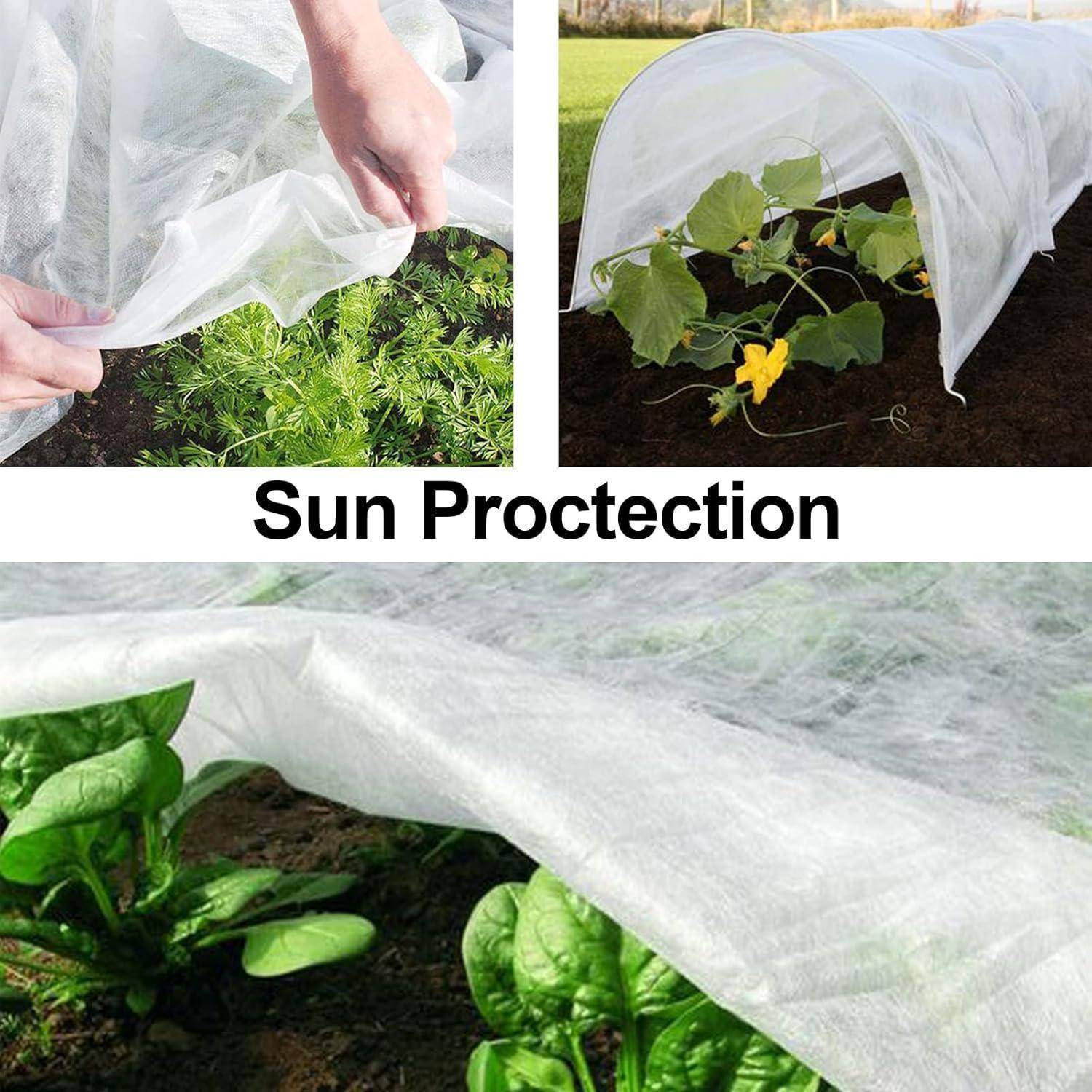 Sonnenschutz