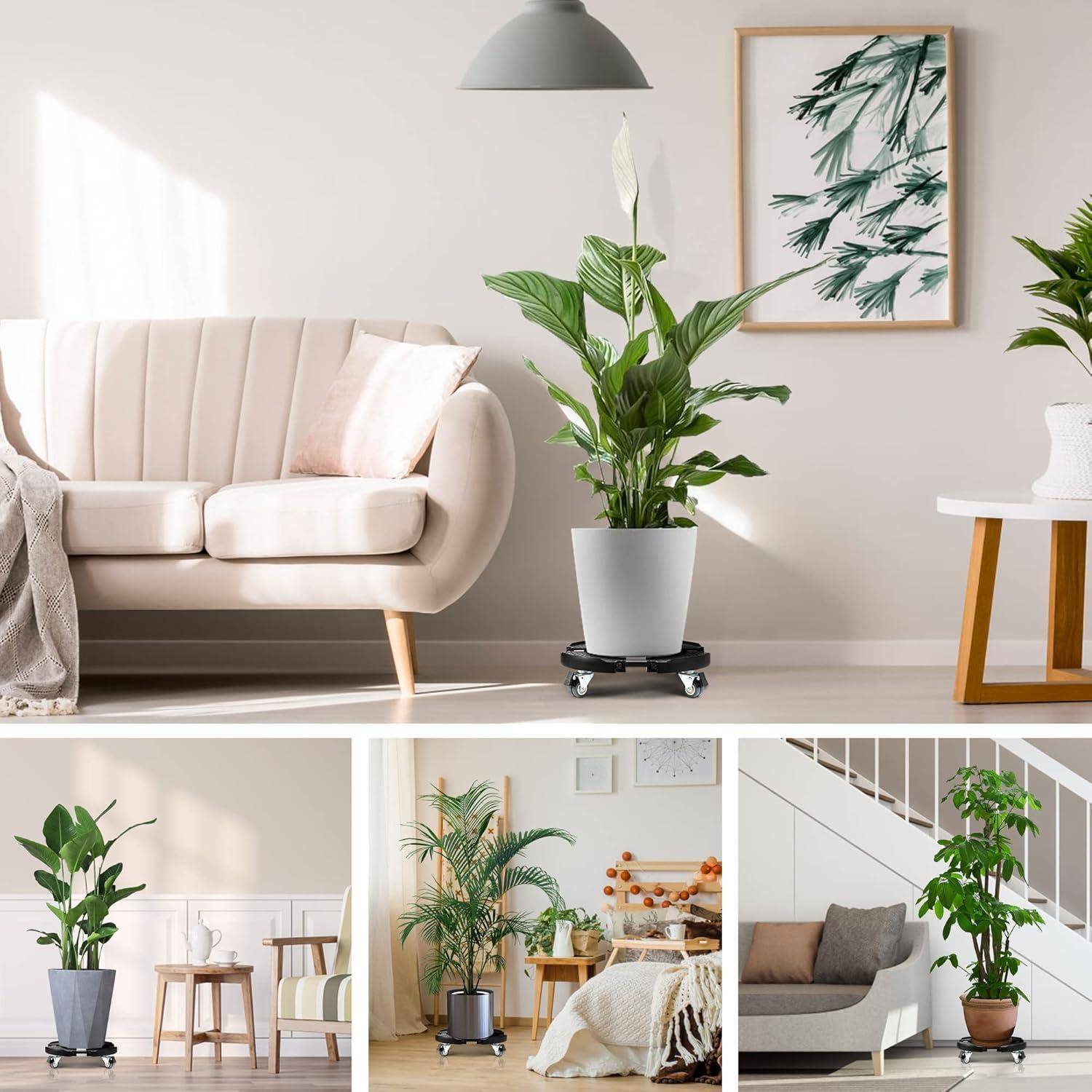 Ein modernes Wohnzimmer mit einem hellen Sofa, einer hohen Zimmerpflanze, Wandkunst und einer Lampe. Zusätzliche Bilder zeigen verschiedene Zimmerpflanzen in Wohnumgebungen.