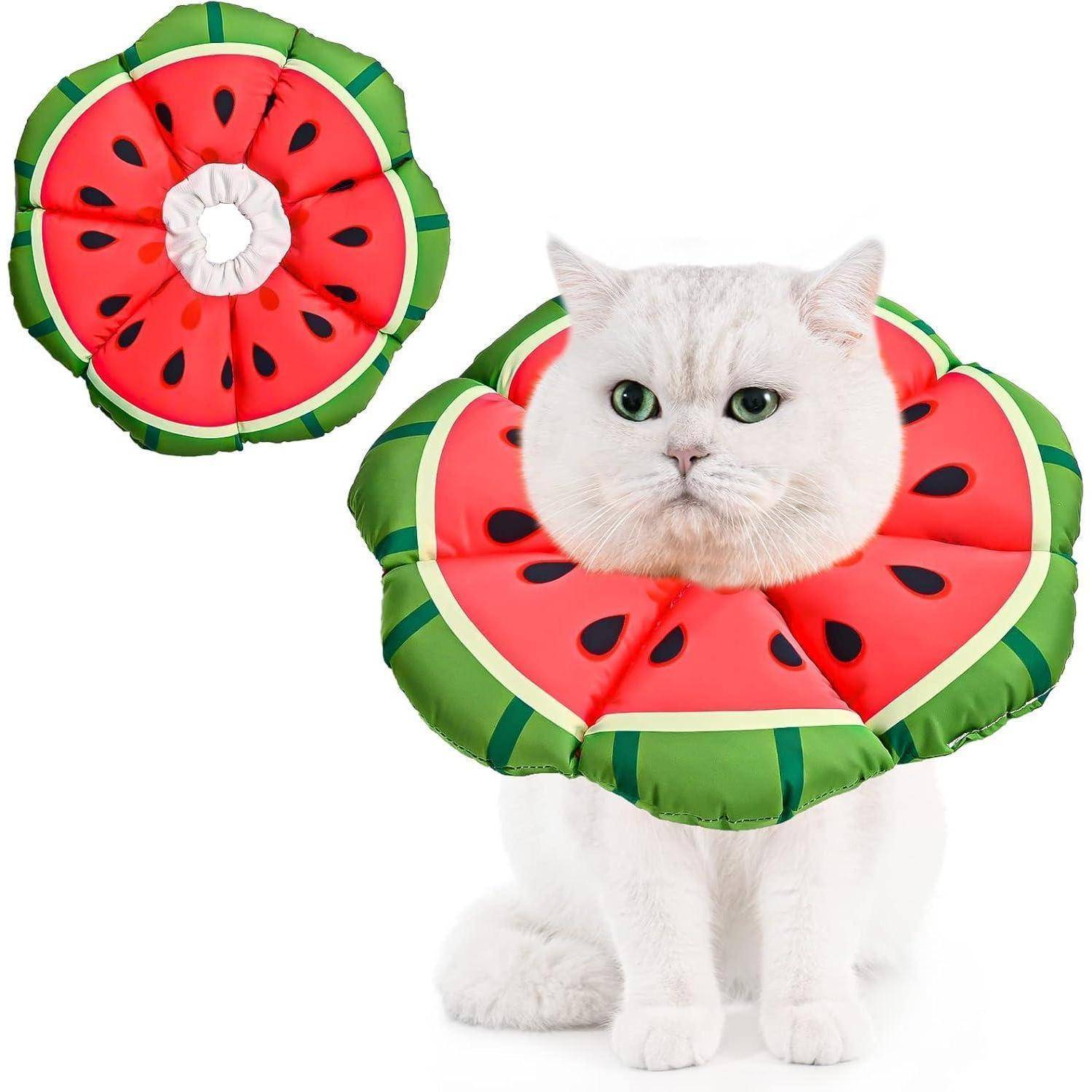 Eine weiße Katze trägt einen wassermelonenförmigen aufblasbaren Kragen, wobei ein ähnlicher Kragen separat gezeigt wird. Die Katze blickt in Richtung Kamera.