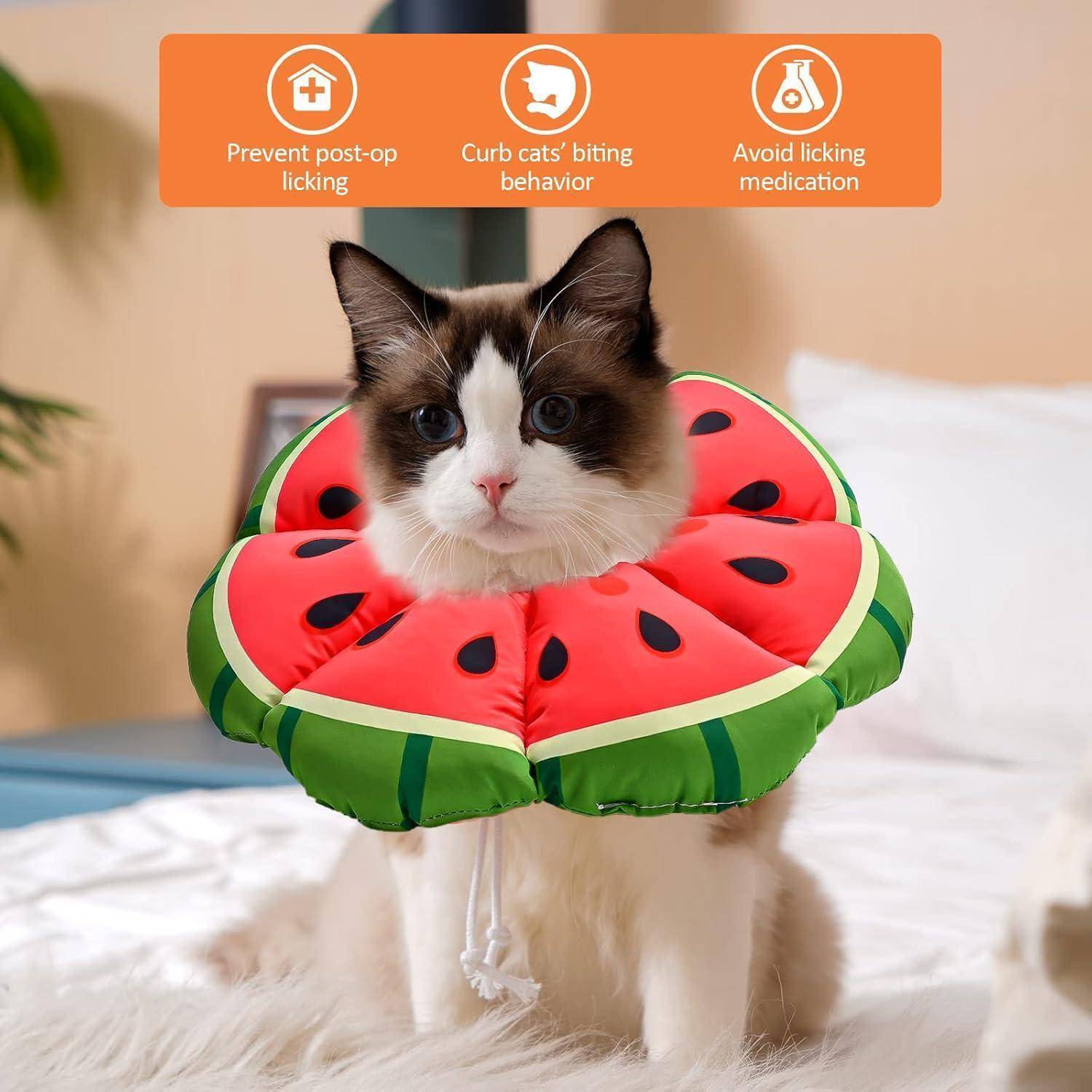 Eine Katze mit einem melonenfömigen weichen Kragen sitzt auf einem Bett. Icons darüber zeigen: 'Nach-OP-Belecken verhindern', 'Beißverhalten eindämmen', 'Belecken von Medikamenten vermeiden'.