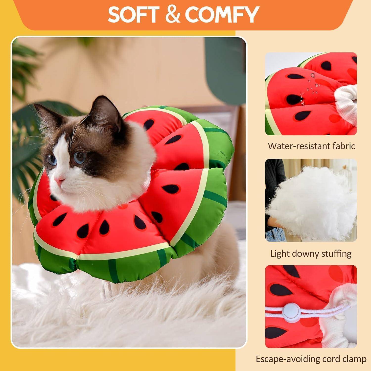 Katze mit einem Wassermelonen-Motiv-Halsband aus weichem und bequemem Material, wasserfestem Stoff, leichter, flauschiger Polsterung und einer Entweichungs-verhindernden Kordelsicherung.