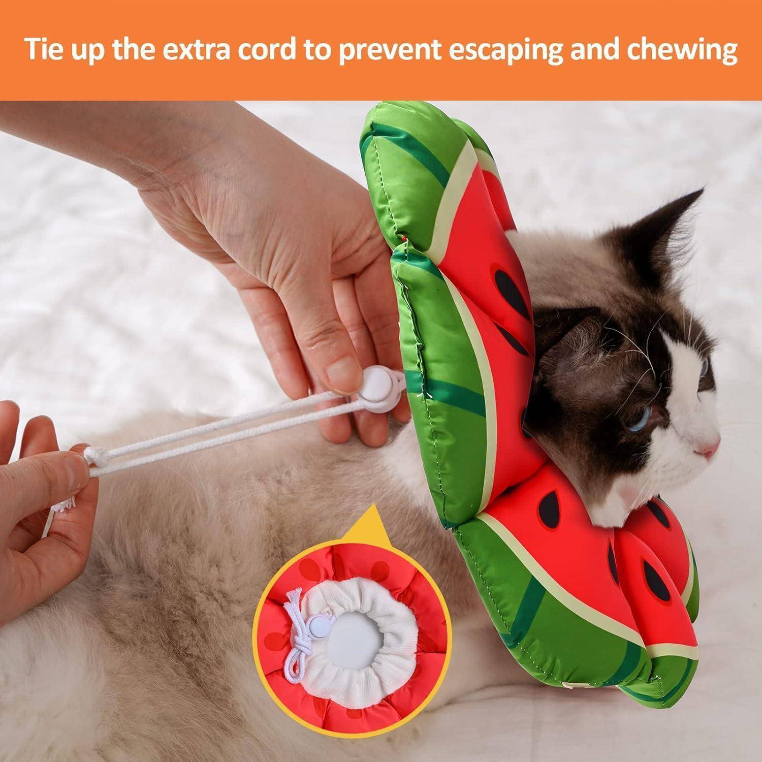Eine Person bindet eine weiße Schnur an einer Katze, die einen wassermelonenartig geformten Halsband trägt, mit dem Text: „Binden Sie die überschüssige Schnur fest, um Entweichen und Kauen zu verhindern.