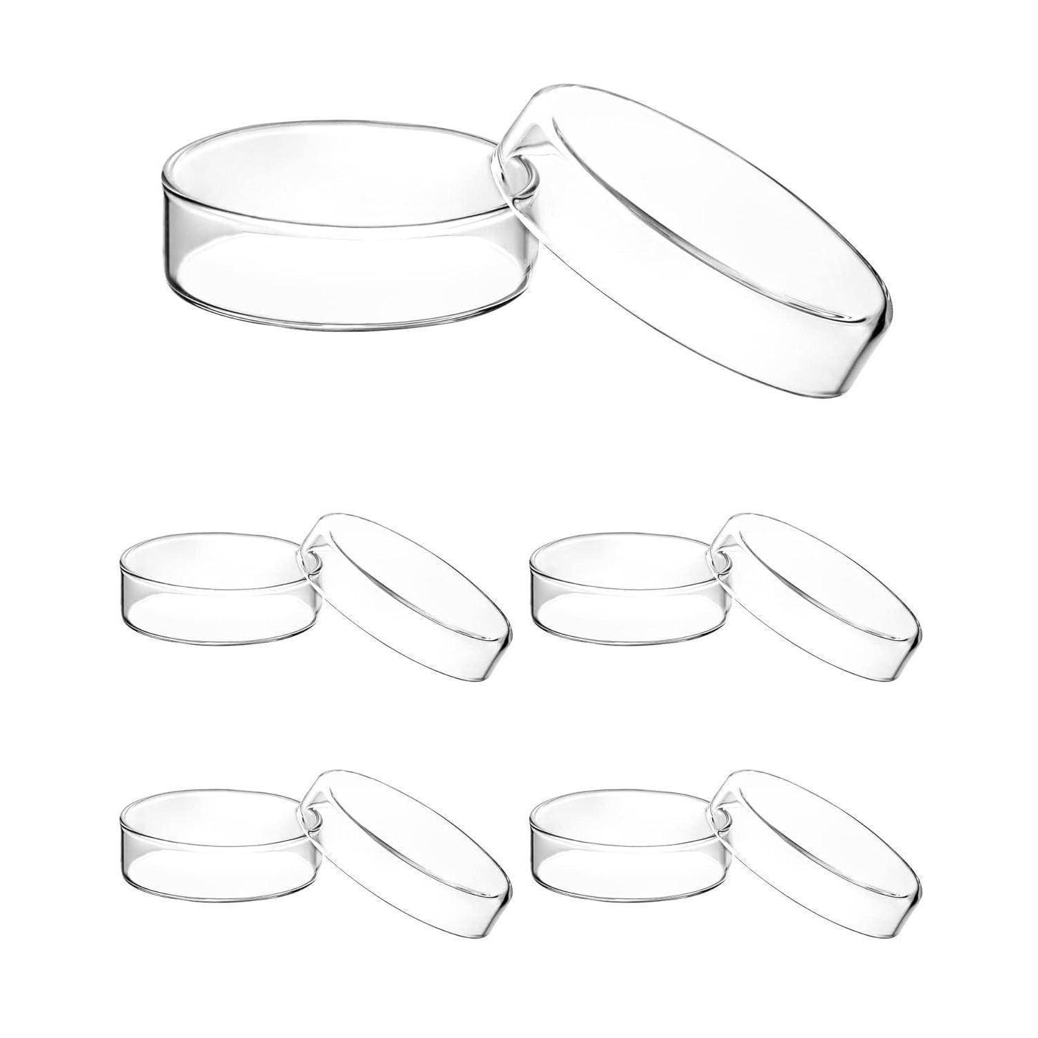 Glas Petrischalen mit Deckel Hochborosilikatglas Laborkultur 60mm x