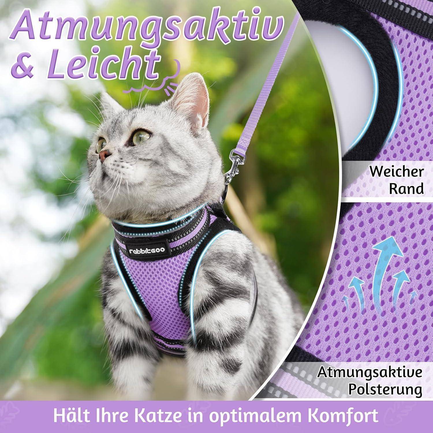 Eine Katze trägt ein atmungsaktives, leichtes Geschirr und steht im Freien. Eingefügte Bilder heben weiche Kanten und Polsterung für optimalen Tragekomfort hervor.