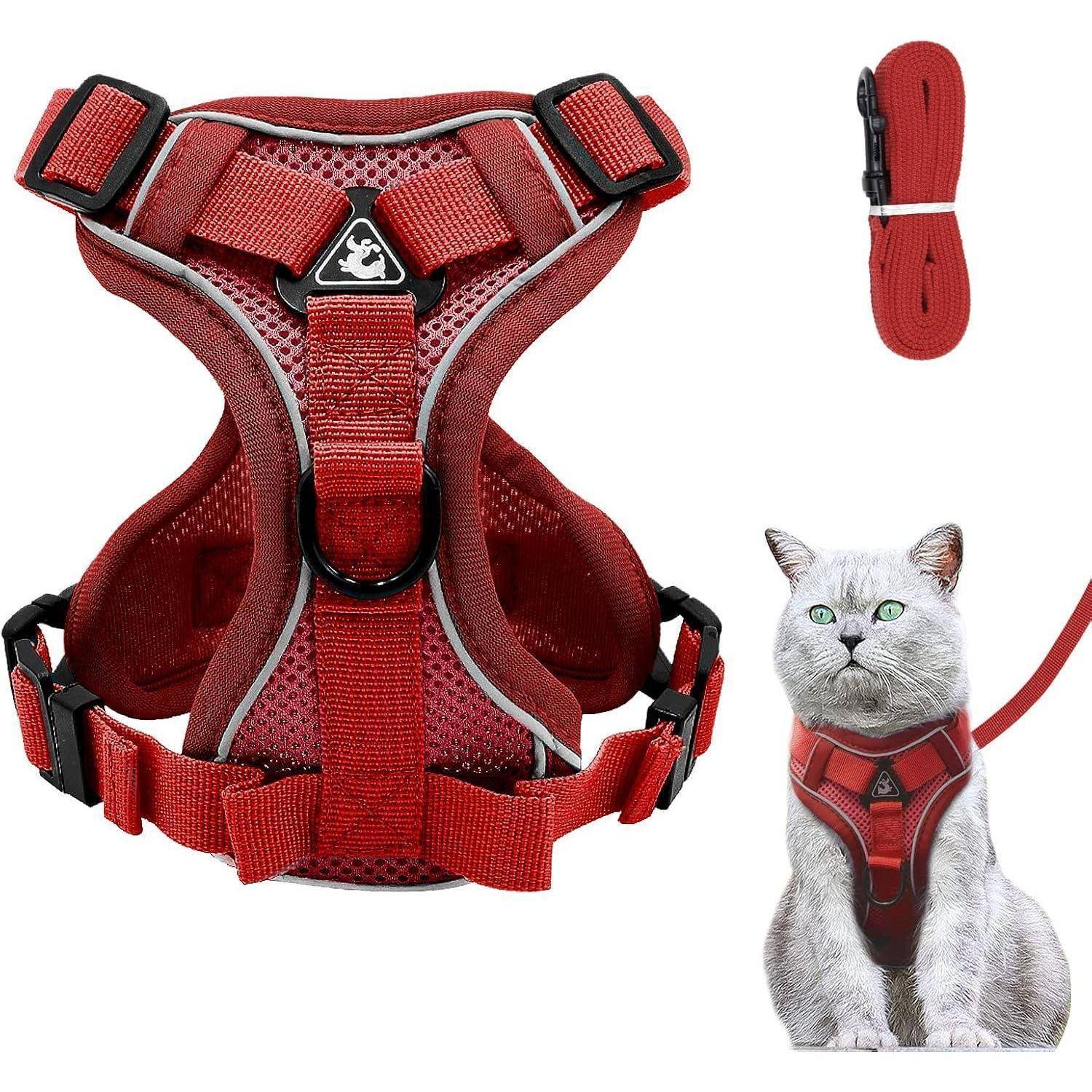 Ein rotes Katzengeschirr-Set mit atmungsaktiver Weste und verstellbaren Riemen, präsentiert neben einer Katze, die es trägt und an dem eine Leine befestigt ist.