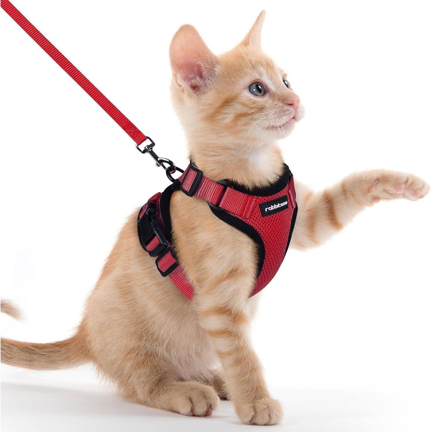 Katzengeschirr Softgeschirr Brustgeschirr Leine XXS (1er Pack) Rot