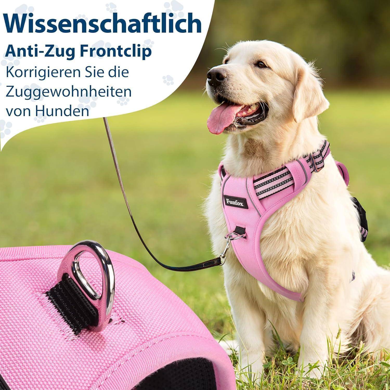 Ein Golden Retriever trägt ein rosa Geschirr mit Frontclip und sitzt im Freien. Text auf Deutsch bewirbt einen wissenschaftlichen Frontclip zur Korrektur des Ziehverhaltens bei Hunden.