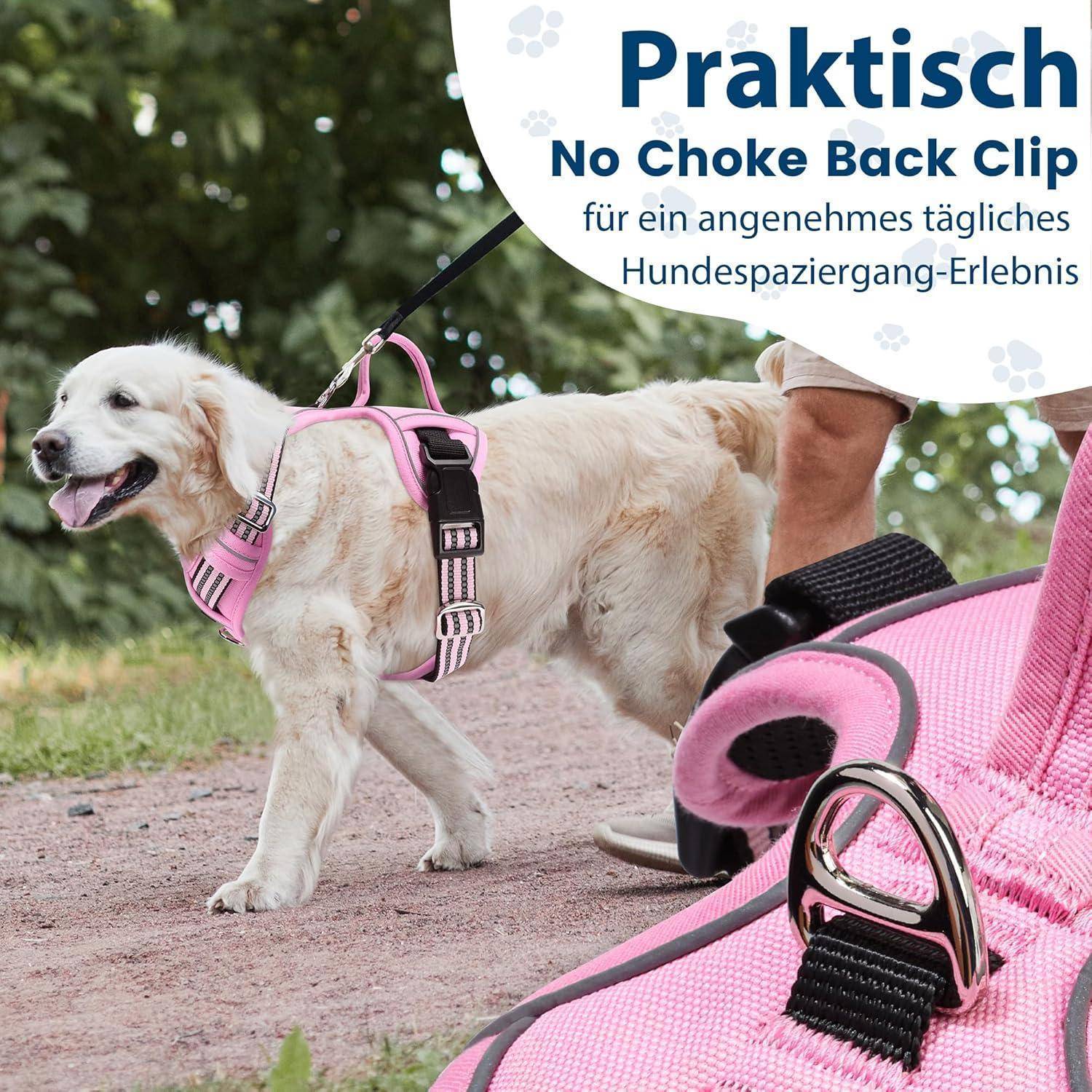 Ein Golden Retriever in einem rosa Geschirr läuft neben seinem Besitzer; Text auf Deutsch sagt 'Praktisch' und bewirbt einen 'Keine Würgeschnalle Rückenclip'.