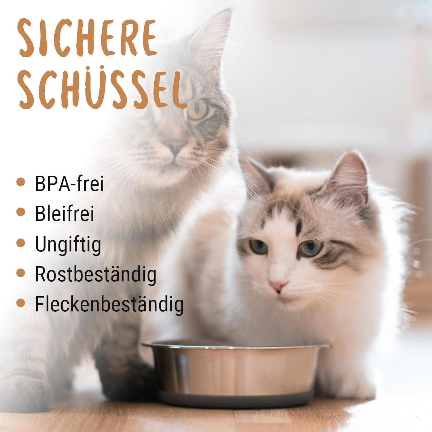 Zwei Katzen sitzen neben einer Schüssel mit dem Text 