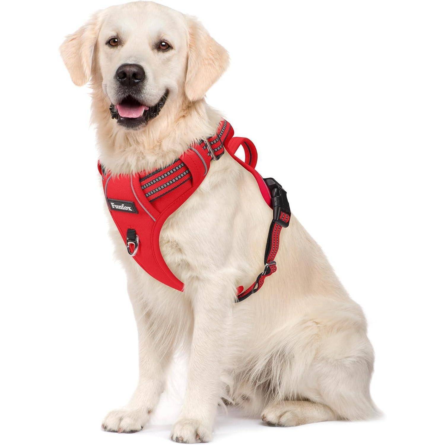 Ein Golden Retriever mit einem leuchtend roten Geschirr sitzt nach vorne gerichtet und wirkt zufrieden und aufmerksam.