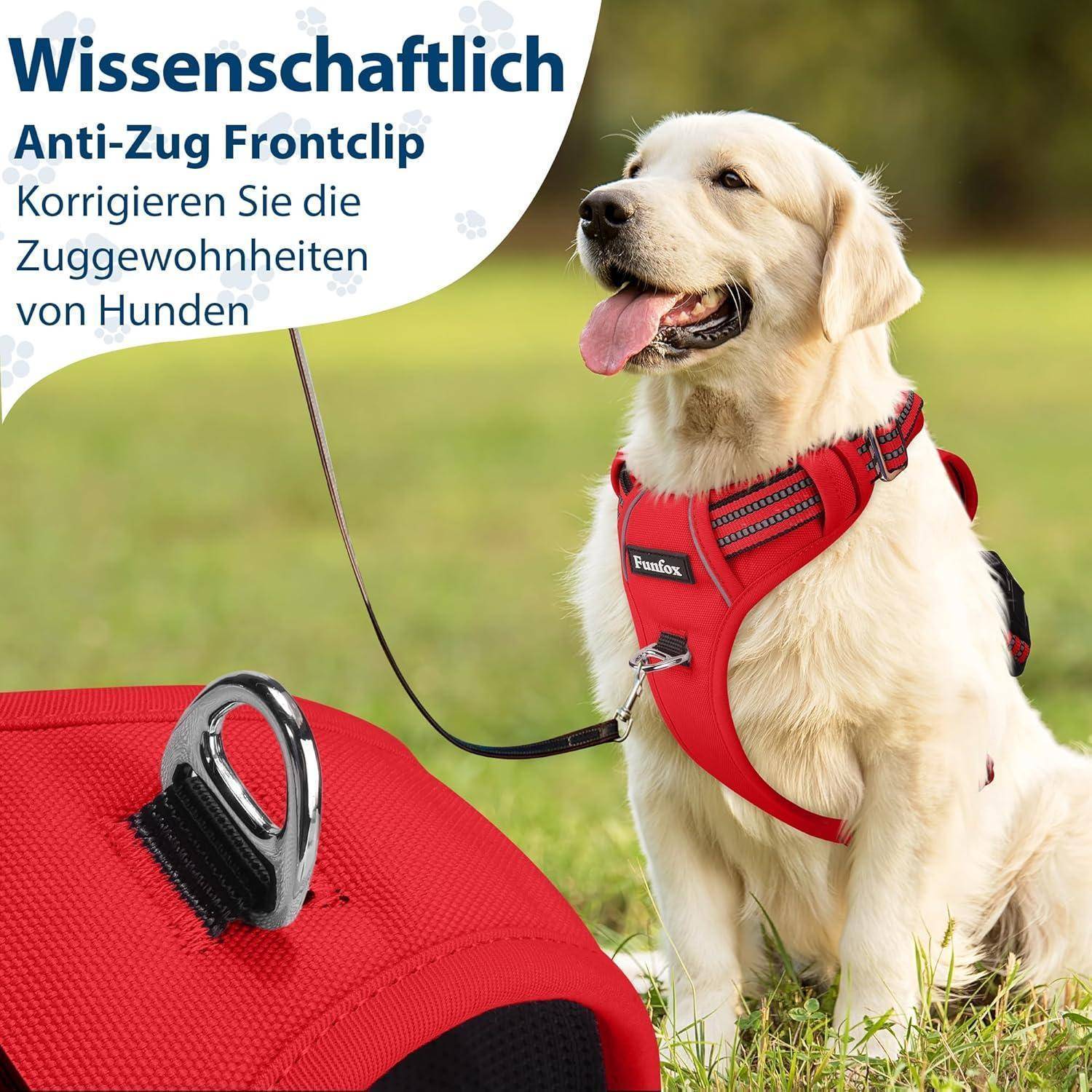 Ein Golden Retriever, der ein rotes Geschirr mit Frontclip trägt, sitzt auf einer Grasfläche. Der deutsche Text bewirbt ein Anti-Zieh-Geschirr.