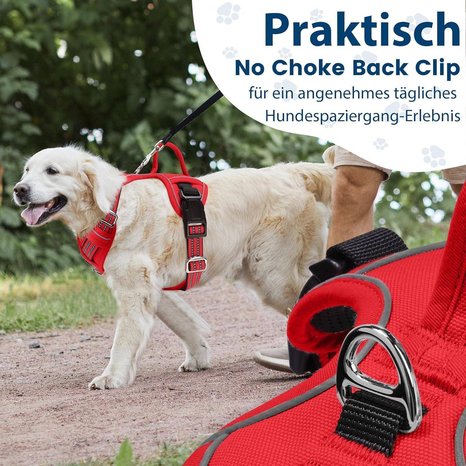Ein Hund in einem roten Geschirr geht an der Leine. Der Text im Bild wirbt für einen 