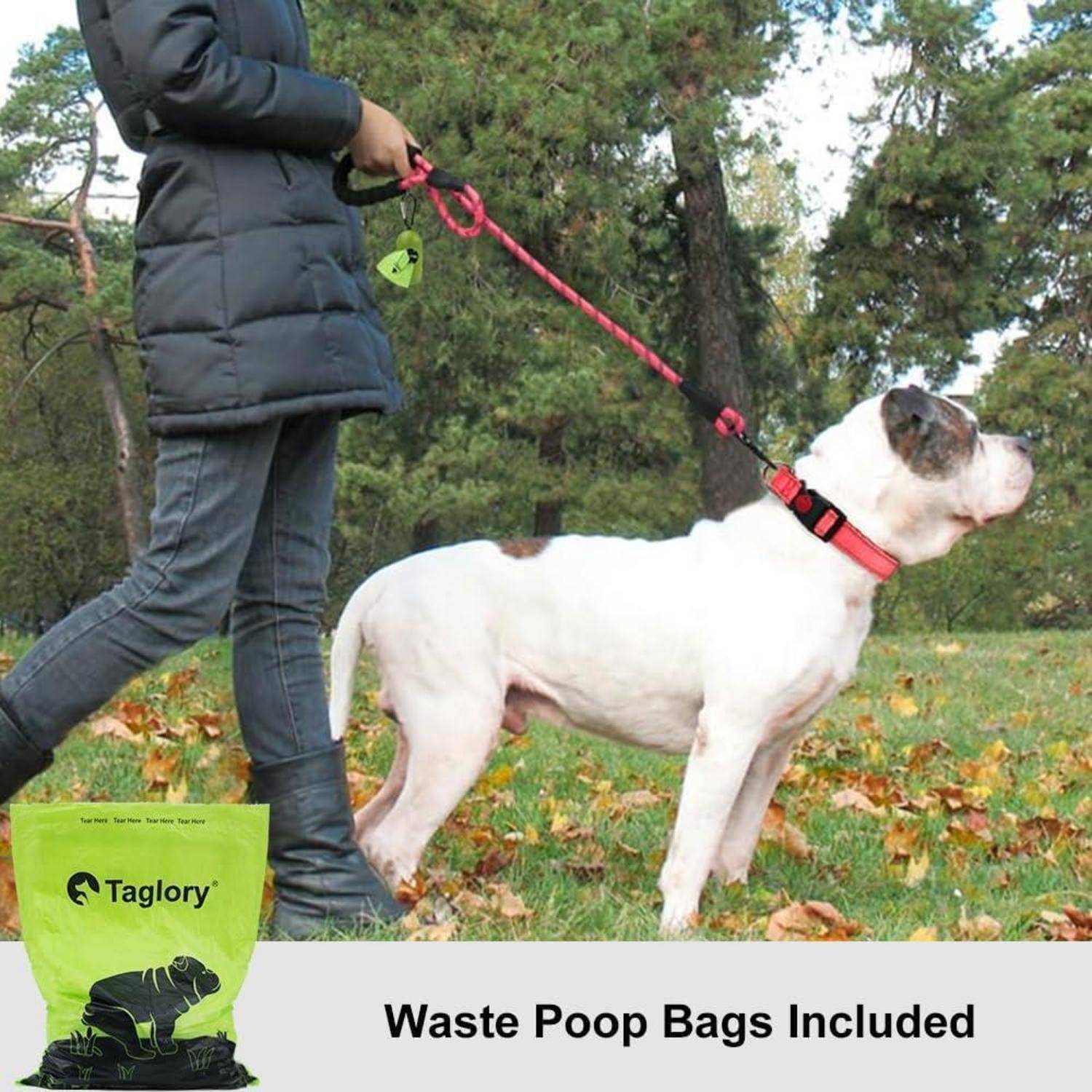 Eine Person geht mit einem Hund auf einem grasigen Weg spazieren. Der Hund ist an einer roten Leine. Eine grüne Tasche mit der Markenbeschriftung 