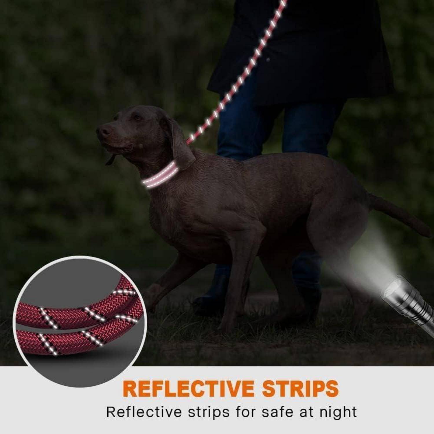 Ein Hund an der Leine mit reflektierenden Streifen, die nachts sichtbar sind. Eingesetztes Bild zeigt eine Nahaufnahme der Leine. Text lautet: „Reflektierende Streifen für Sicherheit bei Nacht.