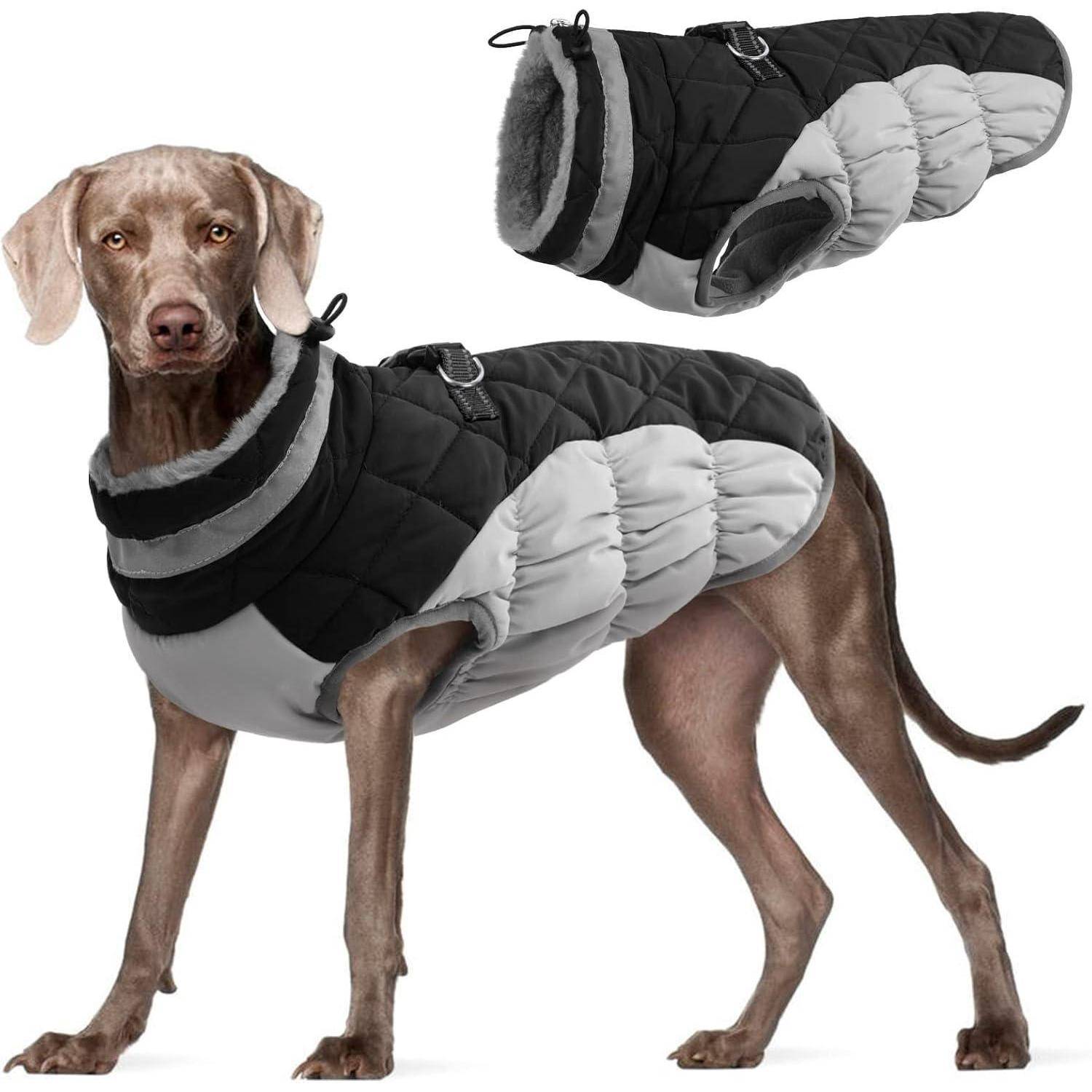 Ein Hund trägt eine schwarz-graue gesteppte Jacke mit einem Faux-Fur-Futter. Eine weitere Ansicht der Jacke zeigt die Rücken- und Nackenverstellriemen.