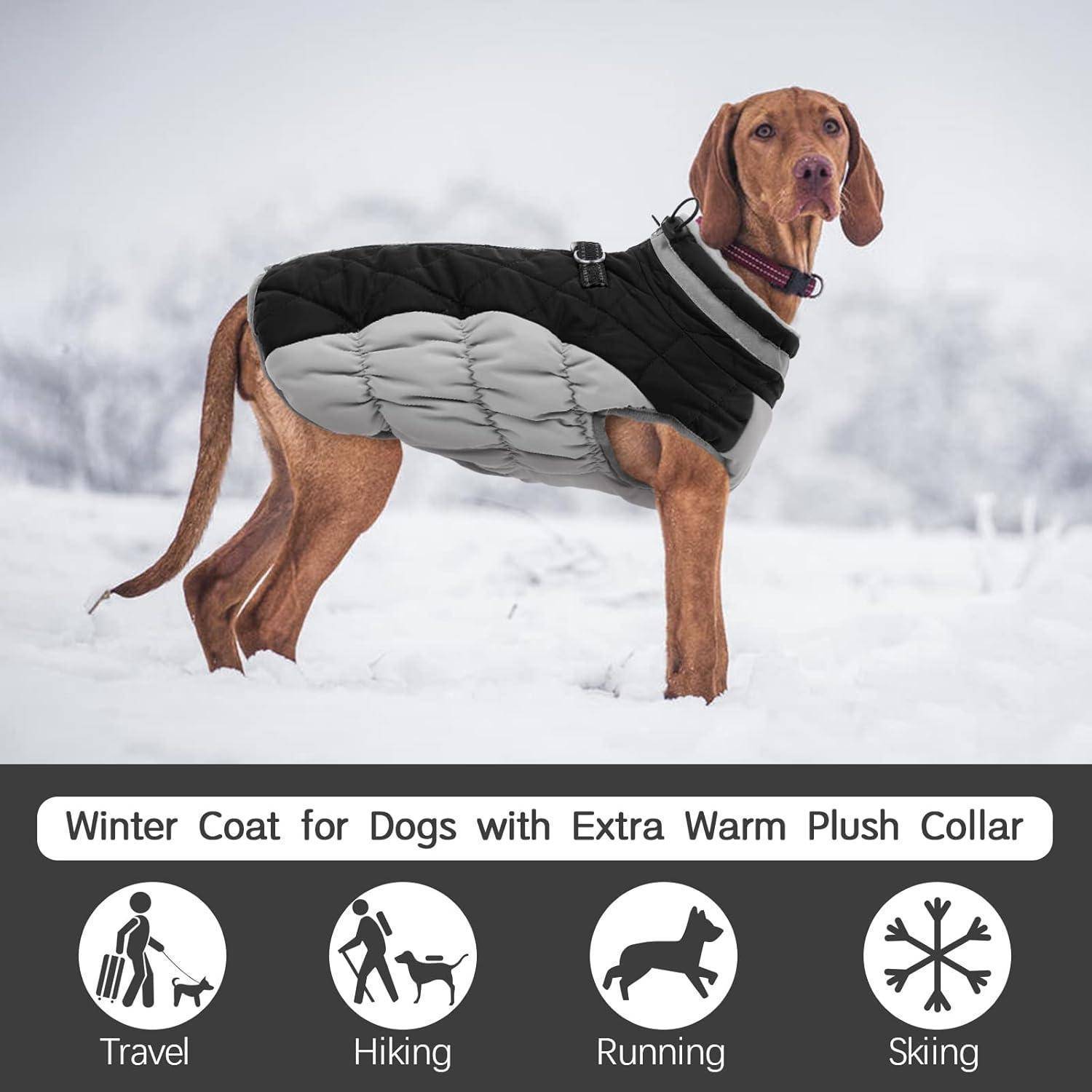 Ein Hund trägt einen Wintermantel mit einem extra warmen Plüschkragen und steht in einer verschneiten Umgebung. Icons darunter zeigen die Eignung für Reisen, Wandern, Laufen und Skifahren.