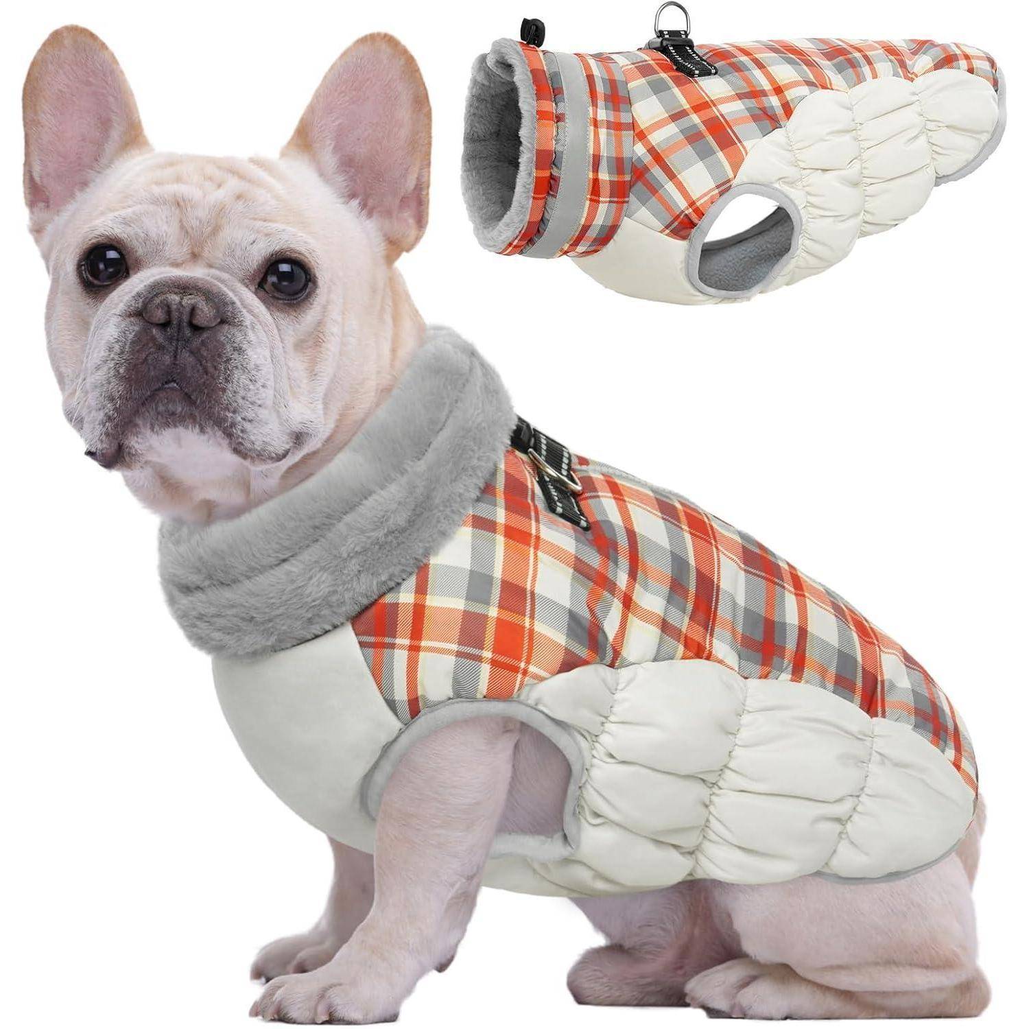 Ein Französische Bulldogge, die einen Wintermantel in Karomustern mit einem grauen Pelzkragen trägt und aufrecht sitzt. Die Einblendung zeigt eine Nahaufnahme des Mantels.