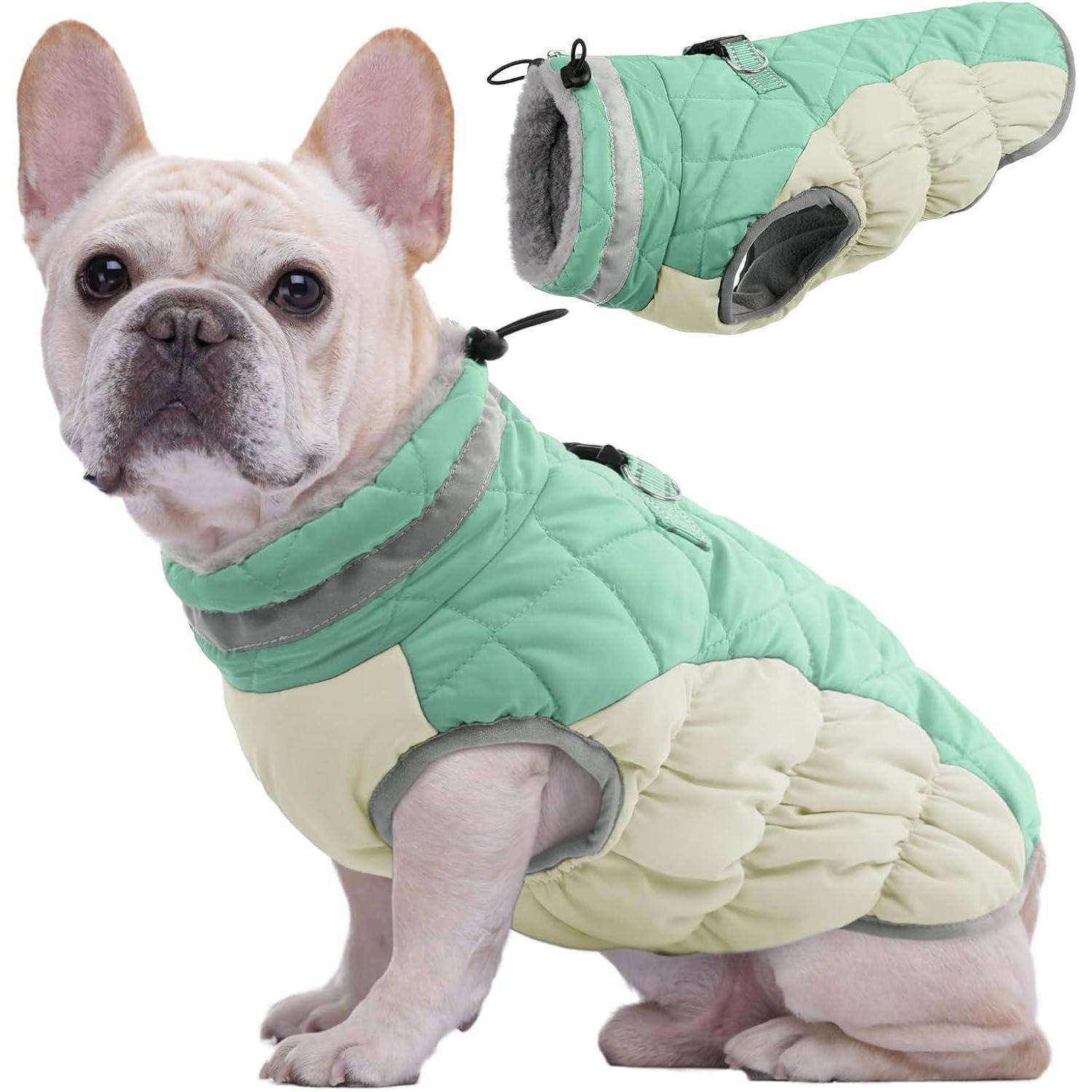 Ein kleiner Hund trägt eine grün-cremefarbene gesteppte Jacke und sitzt. Die Jacke wird auch separat gezeigt, um ihr Design hervorzuheben.