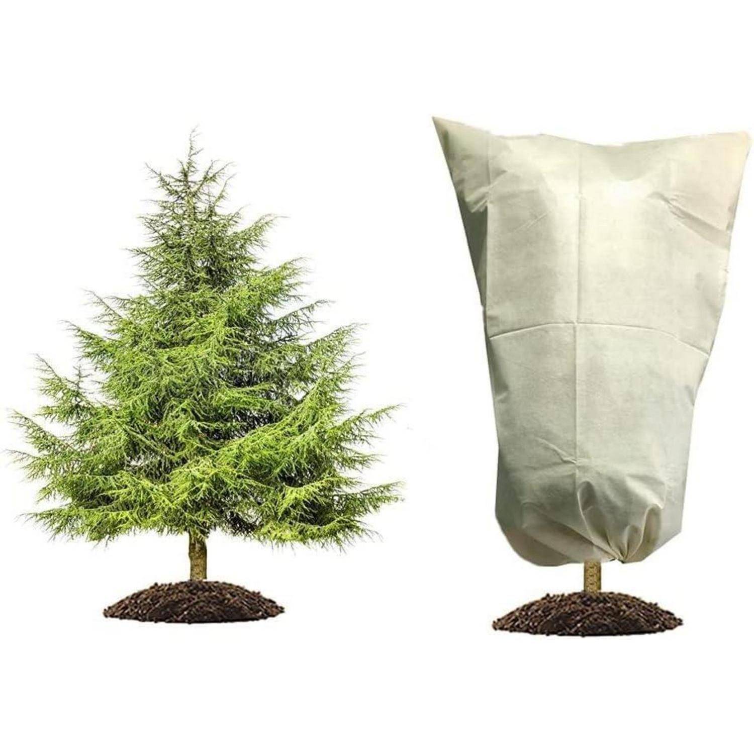 Winterschutz Pflanzen Frostschutz Haube Zelt 60x80cm beige