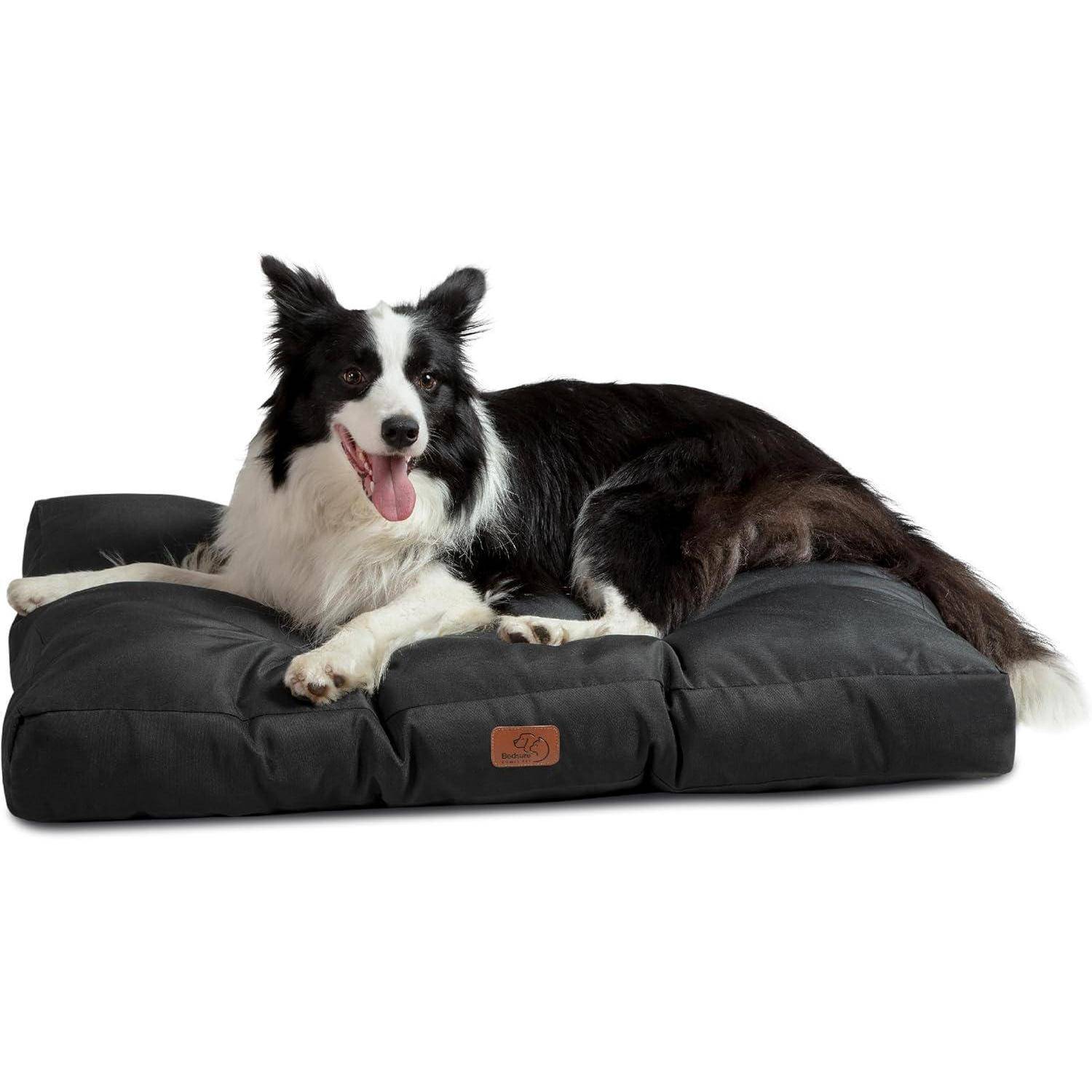 Ein schwarzweißer Hund liegt gemütlich auf einem großen, plüschigen schwarzen Hundebett. Der Hund wirkt entspannt mit herausgestreckter Zunge.