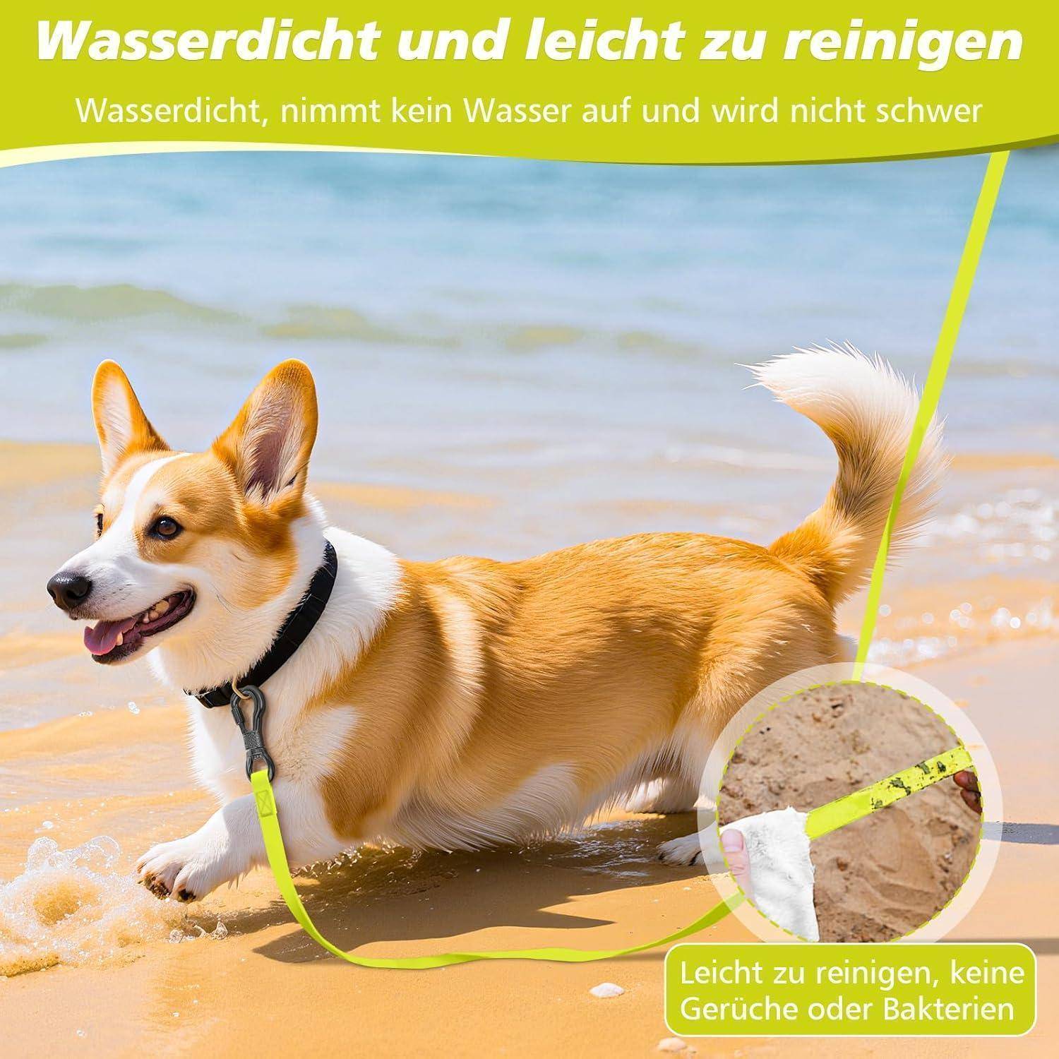 Ein Corgi spielt am Strand, an einer Neonleine angebunden. Der deutsche Text hebt die Leine als 