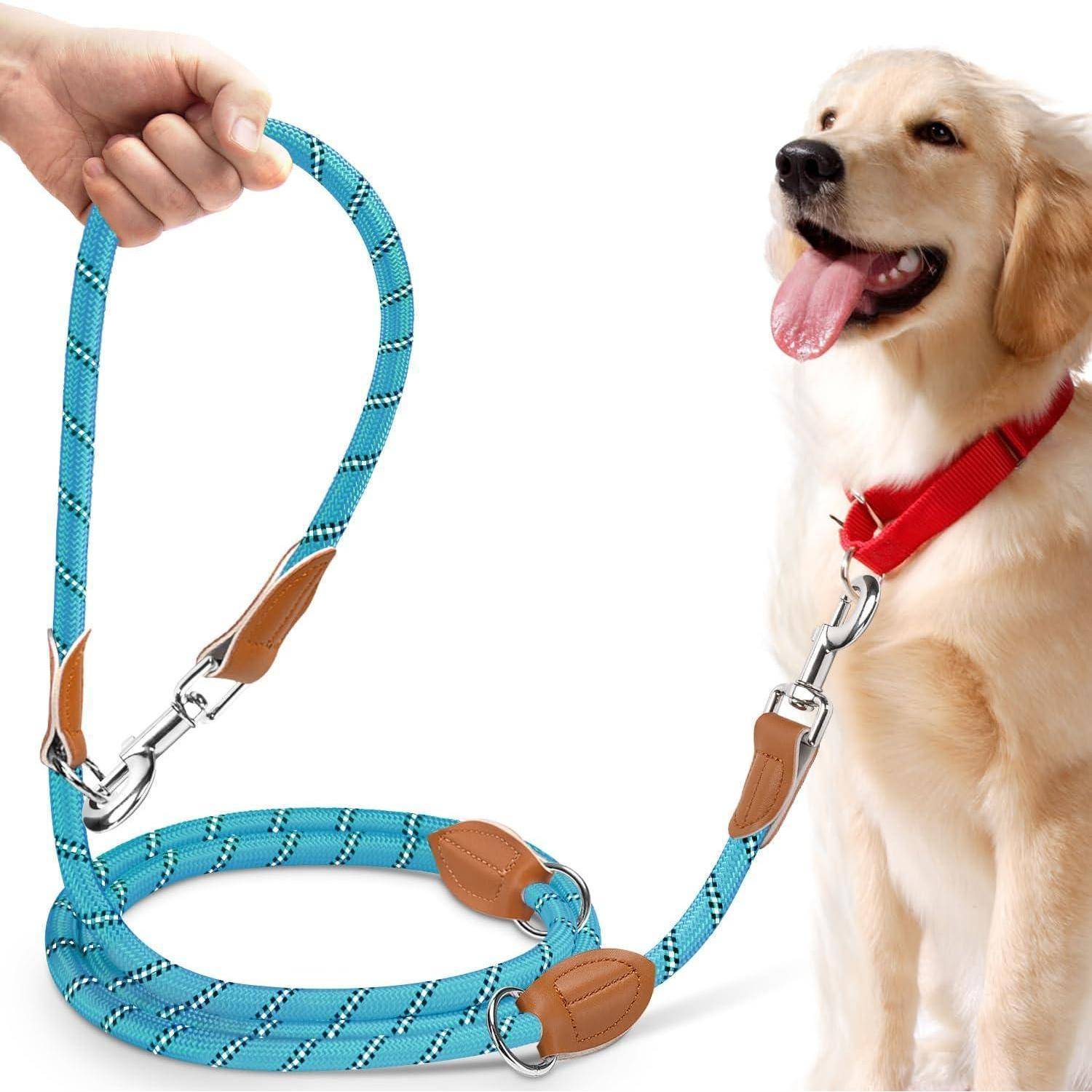 Ein Golden Retriever mit rotem Halsband ist an einer blau-braunen Leine befestigt, die von einer Hand auf der linken Seite gehalten wird. Der Hund wirkt glücklich.