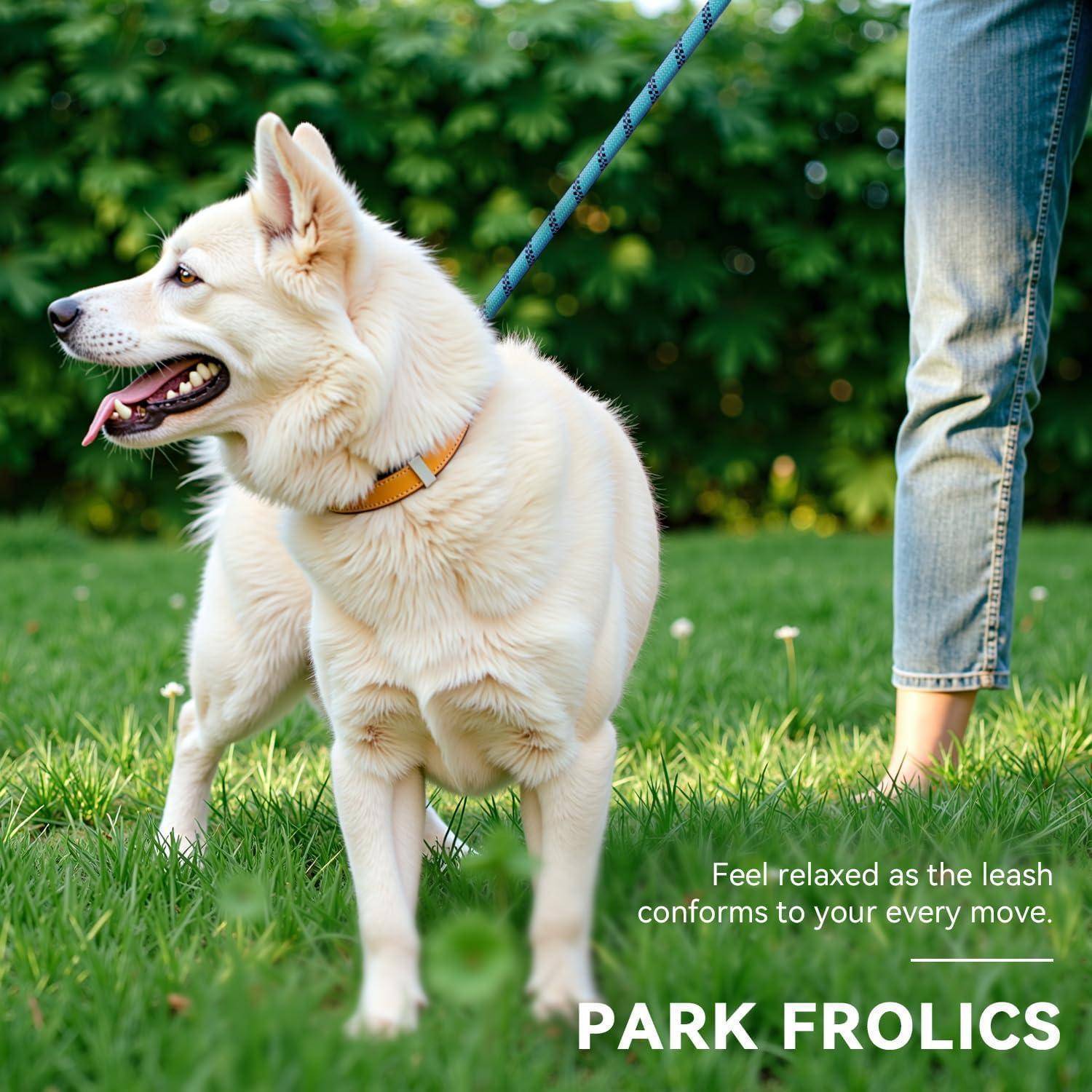 Ein flauschiger weißer Hund an einer blauen Leine steht auf Gras neben einer Person. 'Fühle dich entspannt, während sich die Leine jeder deiner Bewegungen anpasst.' 'PARK-VERGNÜGEN'.