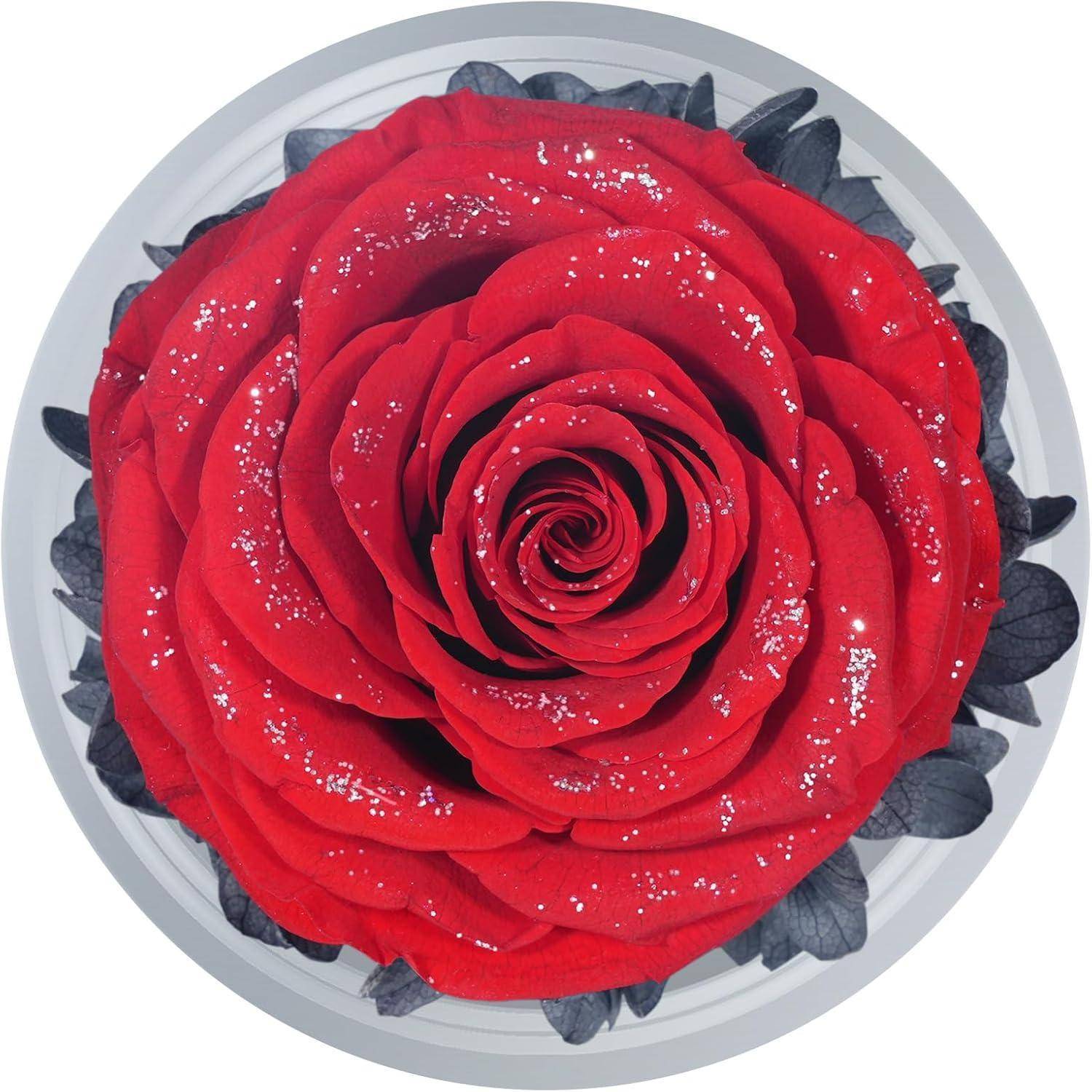 Eine leuchtend rote Rose mit dunklen Kanten an den Blütenblättern, bedeckt mit funkelnden Tröpfchen, vor einem kontrastierenden dunklen Hintergrund.