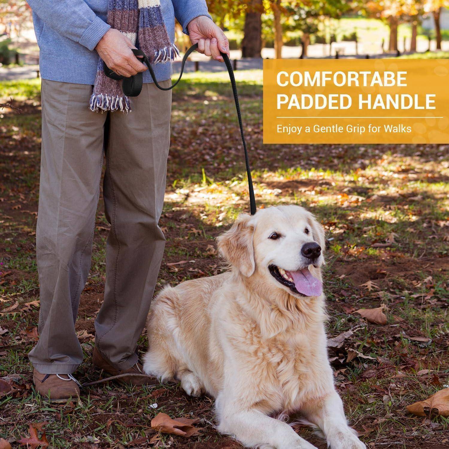 Eine Person in einem Park, die eine Leine mit einem sitzenden Golden Retriever hält. Text lautet: 'Komfortabler gepolsterter Griff - Genießen Sie einen sanften Halt beim Spazierengehen'.
