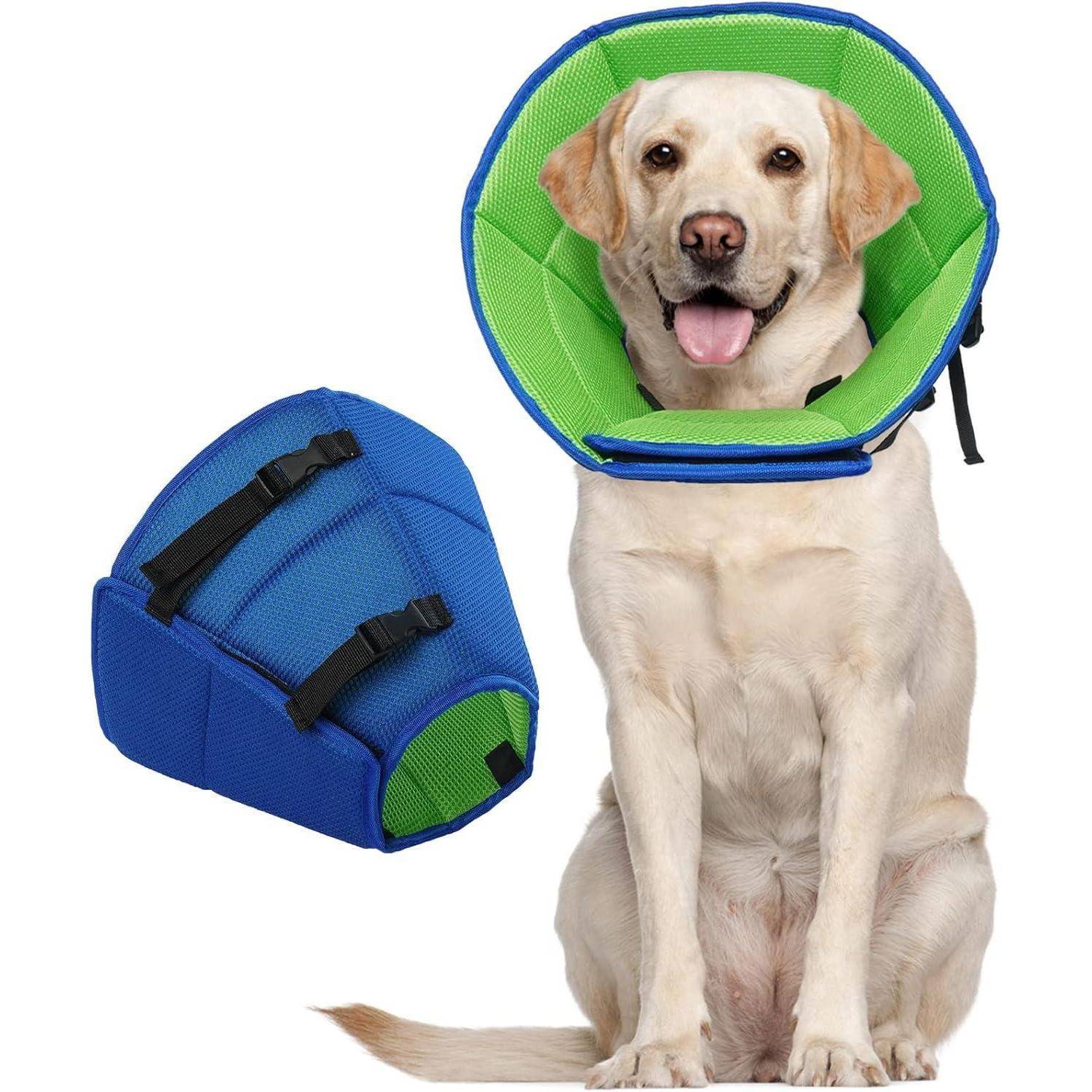 Ein fröhlicher Hund mit einer blauen und grünen Schutzkragen, aufrecht sitzend. Ein nicht geschlossener Kragen liegt in der Nähe und zeigt Details der Riemen.