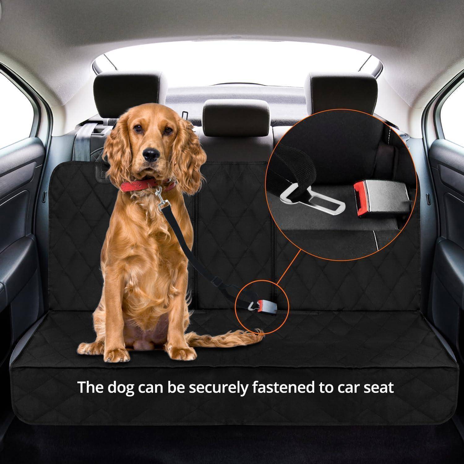 Ein Hund sitzt auf einer Rückbankabdeckung des Autos und ist sicher mit einem Sicherheitsgurt angeschnallt. Text lautet: 