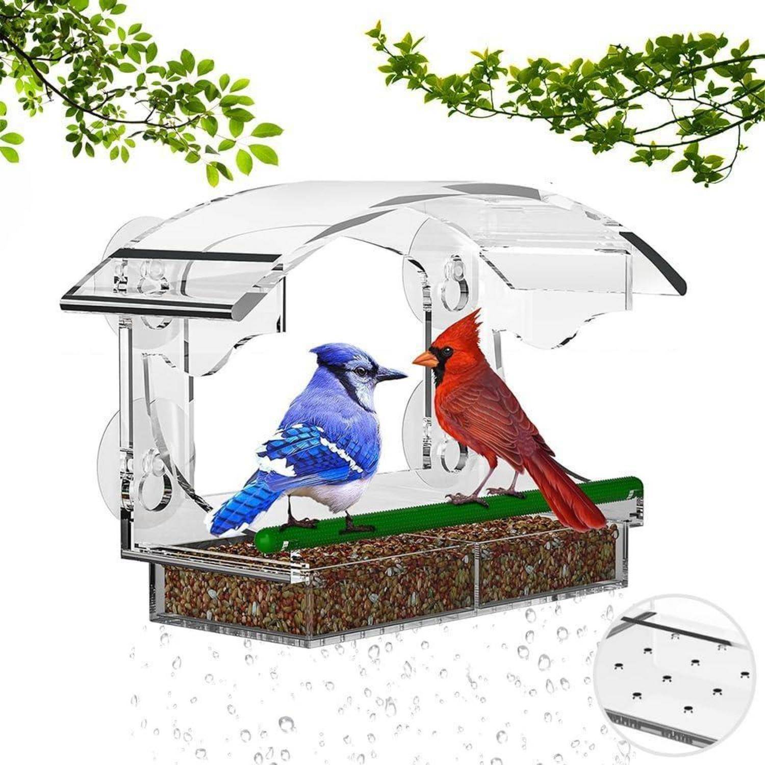Eine transparente Vogelfutterstation, die an einem Fenster befestigt ist, mit einem Blauhäher und einem Kardinal, die darauf sitzen, umgeben von grünen Blättern.