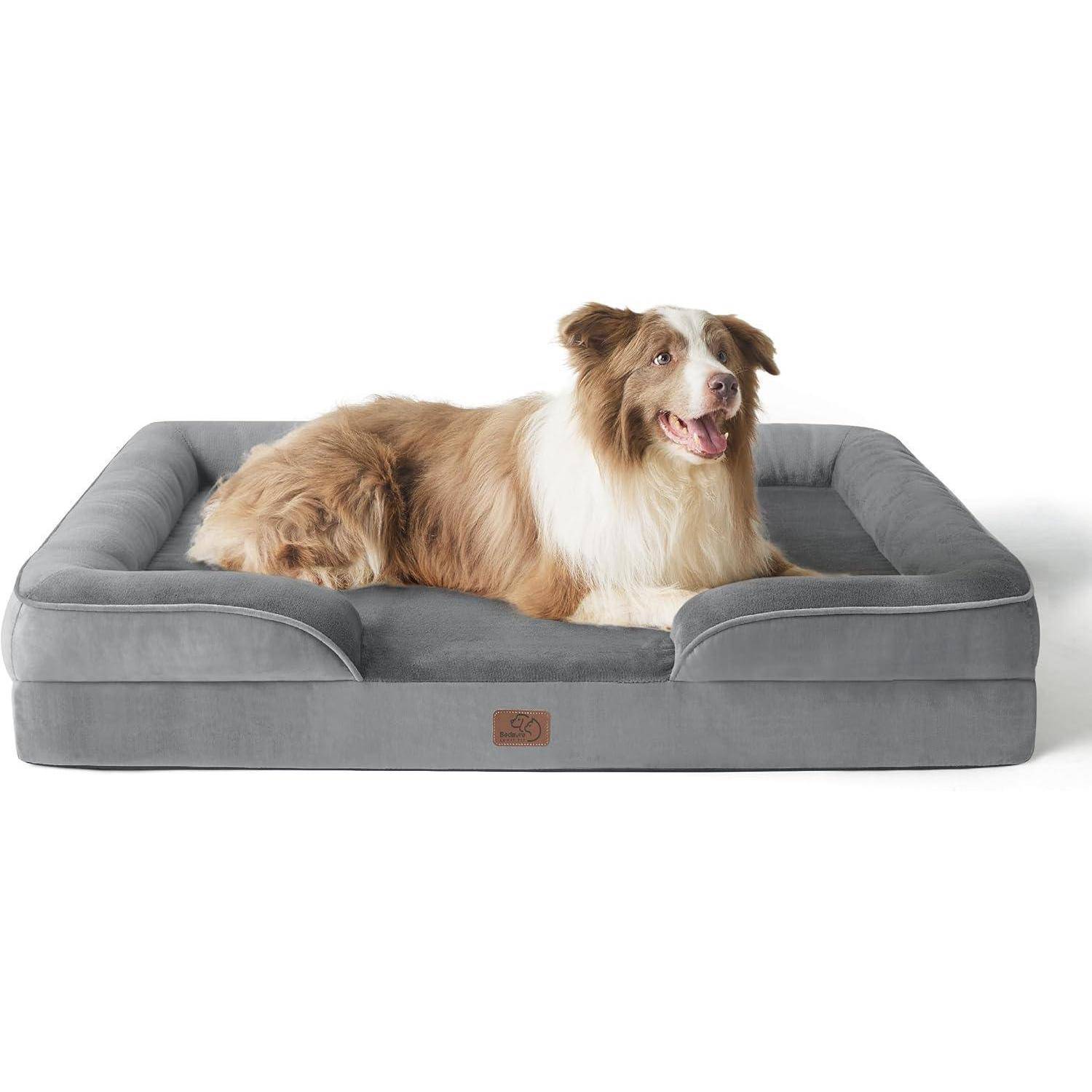 Ein brauner und weißer Hund liegt behaglich auf einem grauen Hundebett mit erhöhten Kanten und wirkt entspannt und zufrieden.