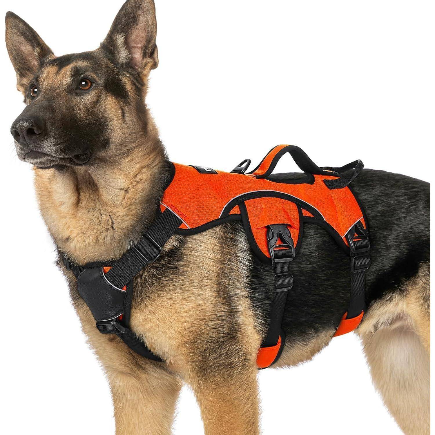 Ein Deutscher Schäferhund mit einem orange-schwarzen Geschirr steht wachsam und blickt nach links. Das Geschirr verfügt über schwarze Riemen und robuste Schnallen.