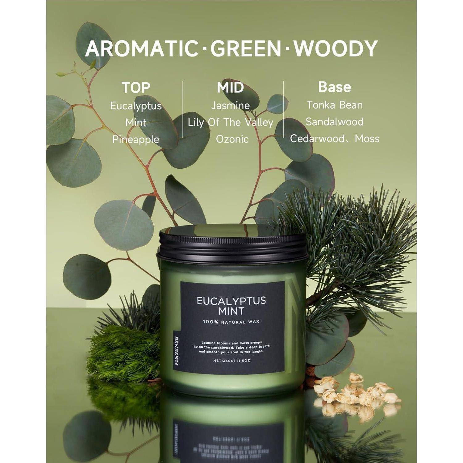 Duftkerze Eukalyptus Minze, 330g große 2-Docht-Kerze, Aromatherapie im