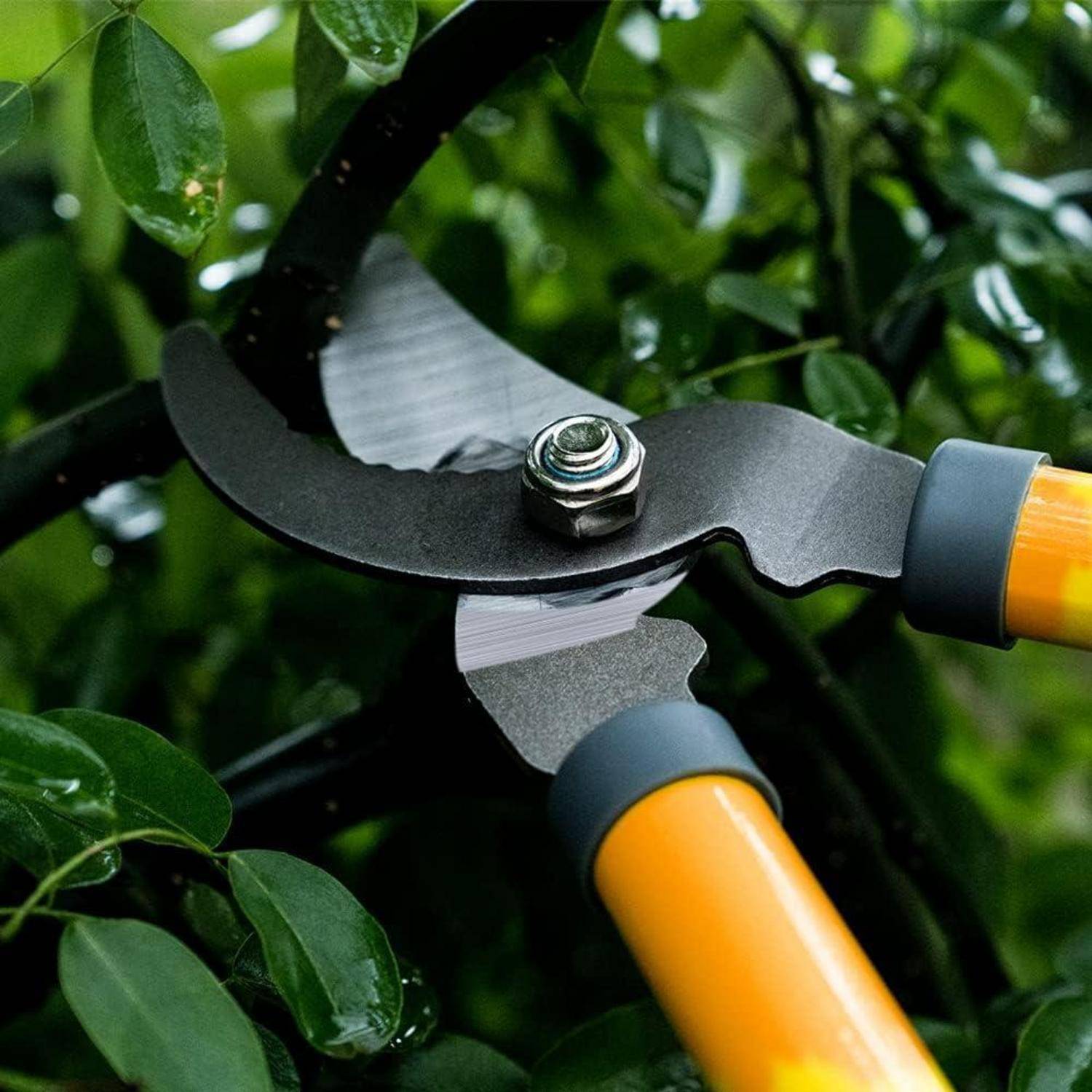 Gartenwerkzeug zum Beschneiden von grünen Blättern an einem Strauch, wobei scharfe Klingen und ein gelber Griff inmitten dichten Laubwerks zu sehen sind.