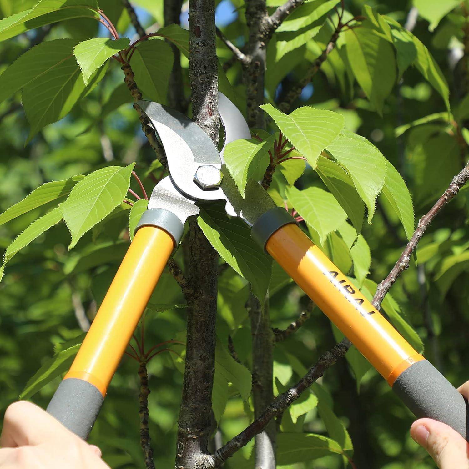 Hände verwenden gelbe Gartenscheren, um einen Zweig von einem belaubten Baum abzuschneiden und zeigen dabei Gartentechnik und Werkzeuggebrauch.
