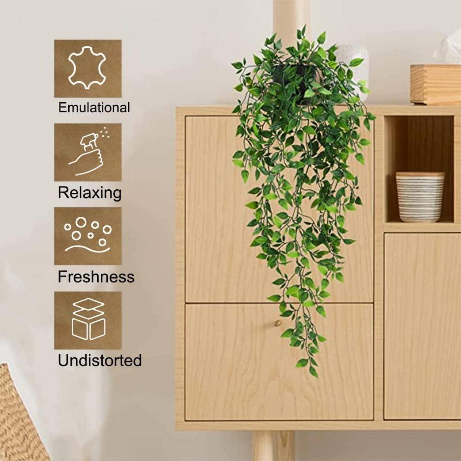 Ein Holzschrank mit einer herabhängenden grünen Pflanze. Die Symbole links repräsentieren 'Emotional', 'Entspannend', 'Frische' und 'Unverfälscht'.