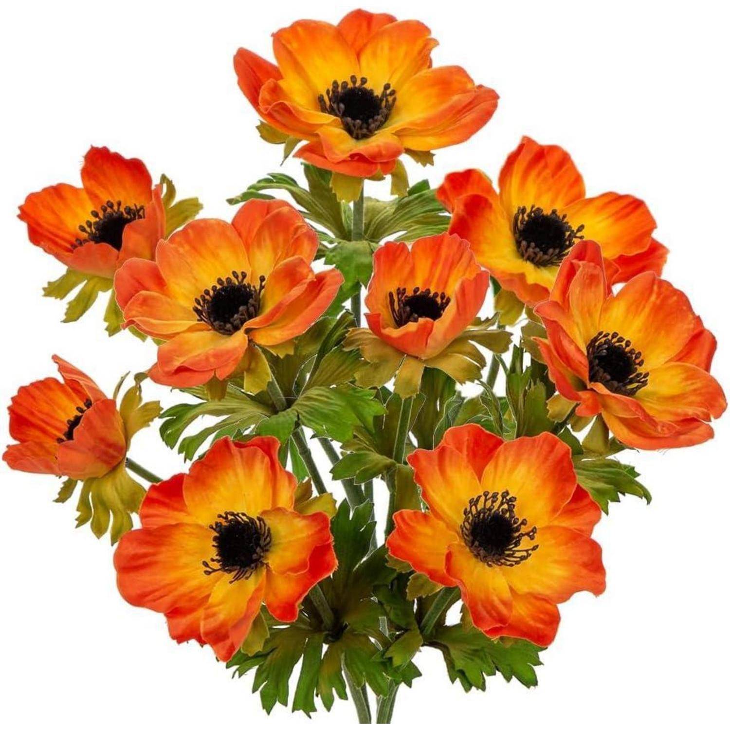 Ein Blumenstrauß aus leuchtend orangefarbenen und gelben Blüten mit dunklen Zentren, umgeben von grünen Blättern, der lebendige Farben und natürliche Schönheit zur Schau stellt.