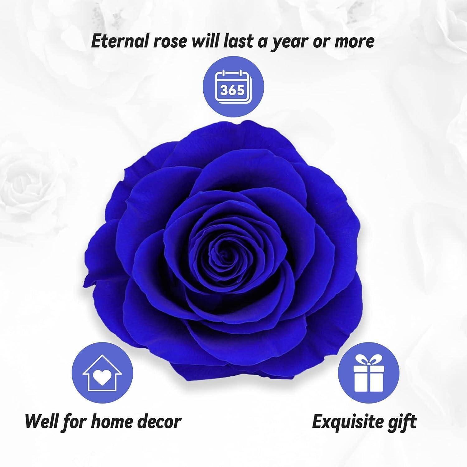 Blaue Rose mit der Beschriftung „Ewige Rose hält ein Jahr oder länger