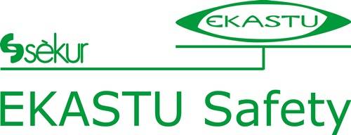 STU Sam' Text mit einem grünen Logo darüber, das stilisierte Buchstaben zeigt.