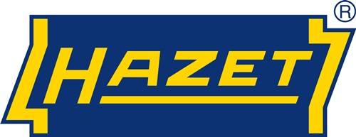 RAZER' in fetten gelben Großbuchstaben auf einem blauen Hintergrund.