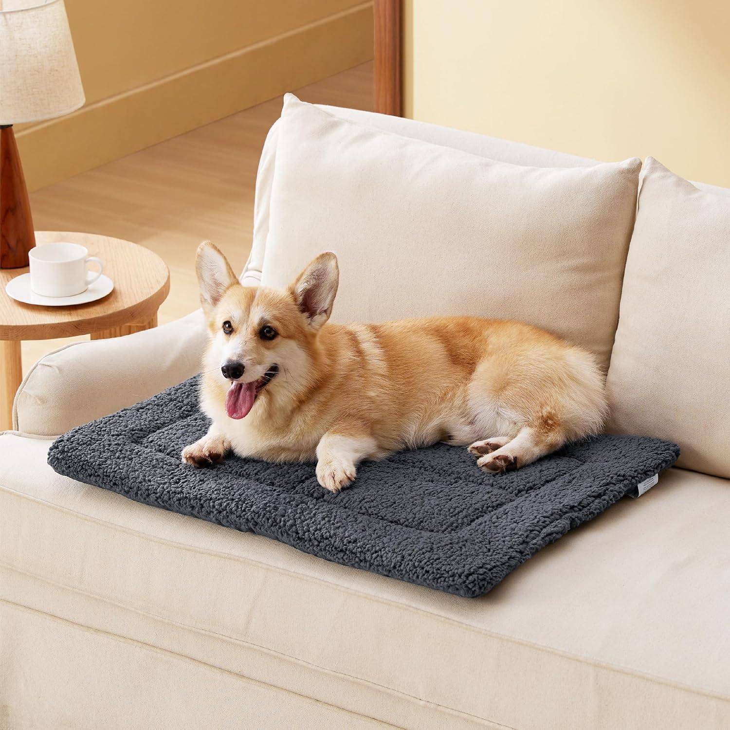Hundematte Waschbar Mittelgroß Schaumstoff 74 x 46 cm Dunkelgrau